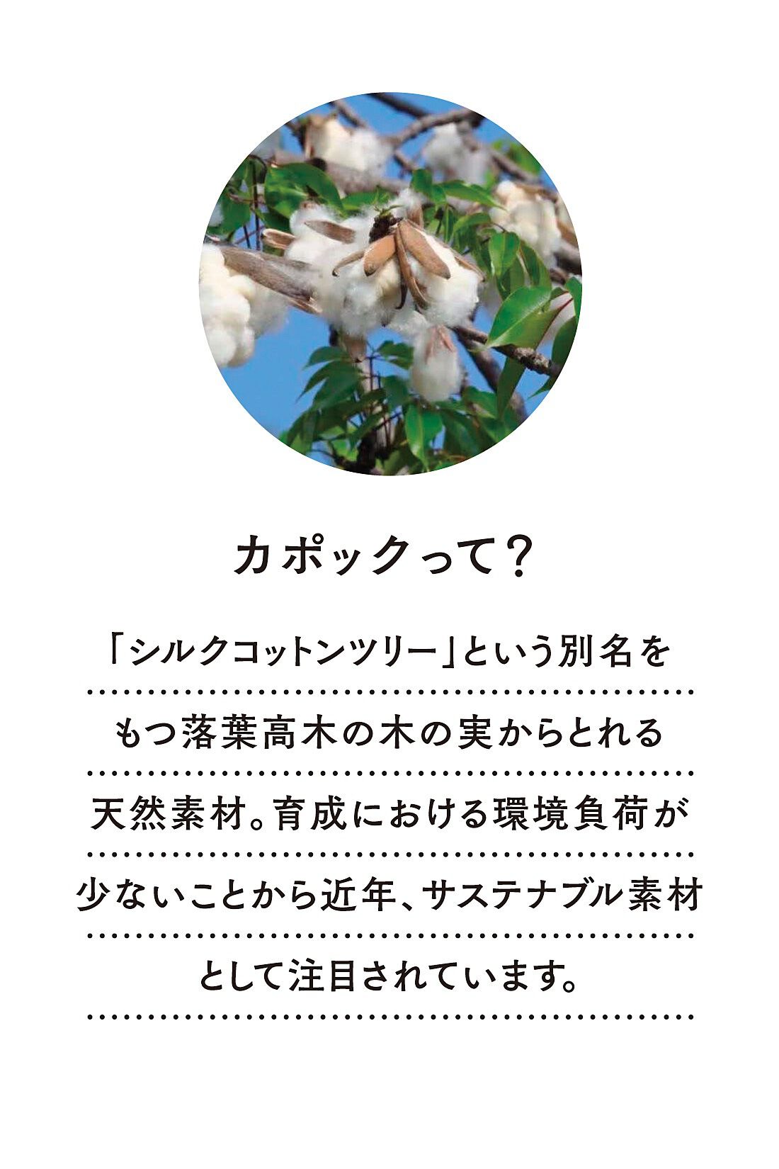 Live in comfort［リブインコンフォート］|リブ イン コンフォート　一枚でもインナーにも！　エアリーな着心地がうれしい　カポック混素材のゆるやかタートルニットトップス〈ブラック〉