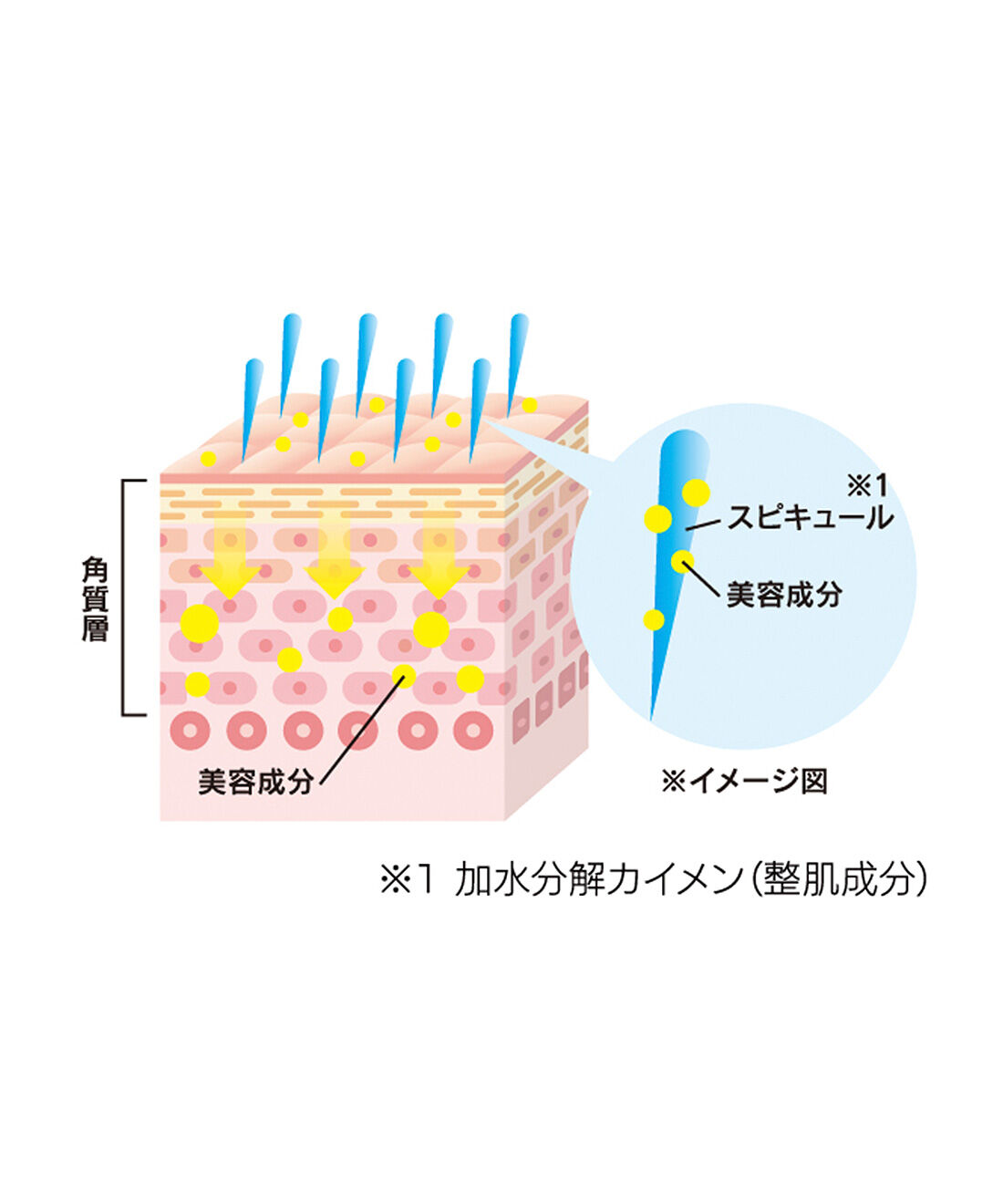 flufeel|天然の美容針！ ※1 美容液成分を角質層まで届ける 1枚4役のオールインワンフェイスマスクの会