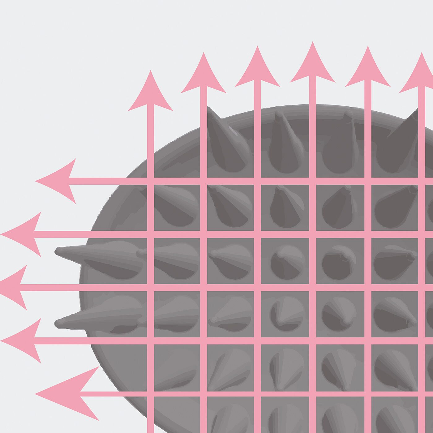 flufeel［フラフィール］|長い毛先で地肌に届く　しっかり刺激の抗菌シャンプーブラシ〈ハードタイプ〉の会|POINT-2〈縦横方向の髪通り〉ほどよいすき間で髪がからみにくい