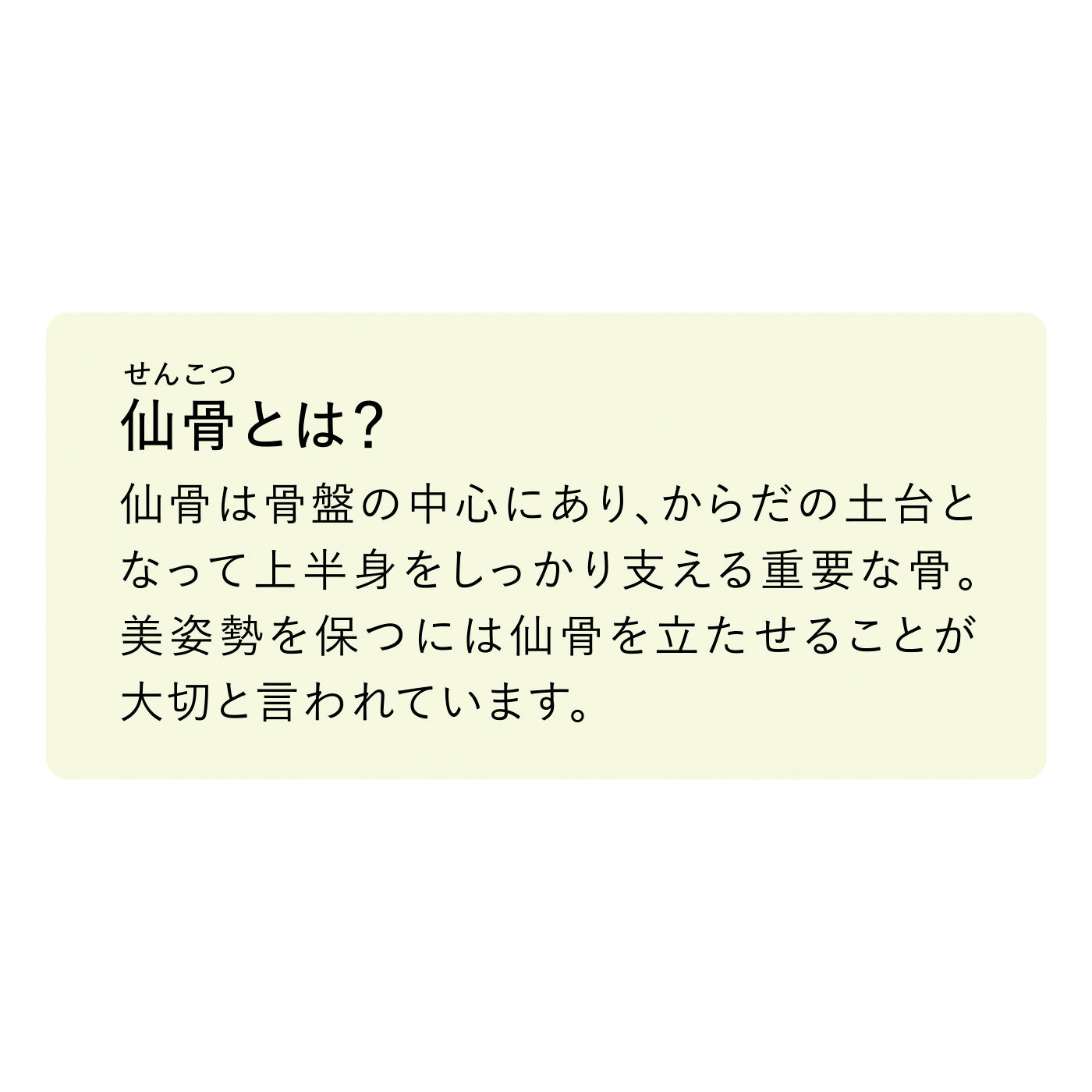 flufeel|腰らくらく座り姿勢意識で背筋ピン！ サポートベルト仕様 ヨガ気分ショーツの会