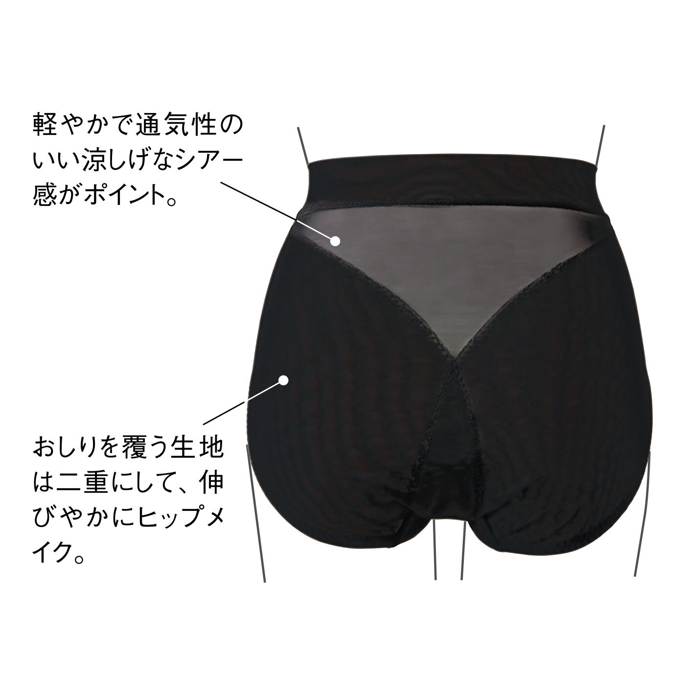 flufeel|【7月分以降お届け】凛（りん）と軽やかにスタイリッシュ印象 ヒップと下腹ほどよくカバー シアーなショーツの会|Back