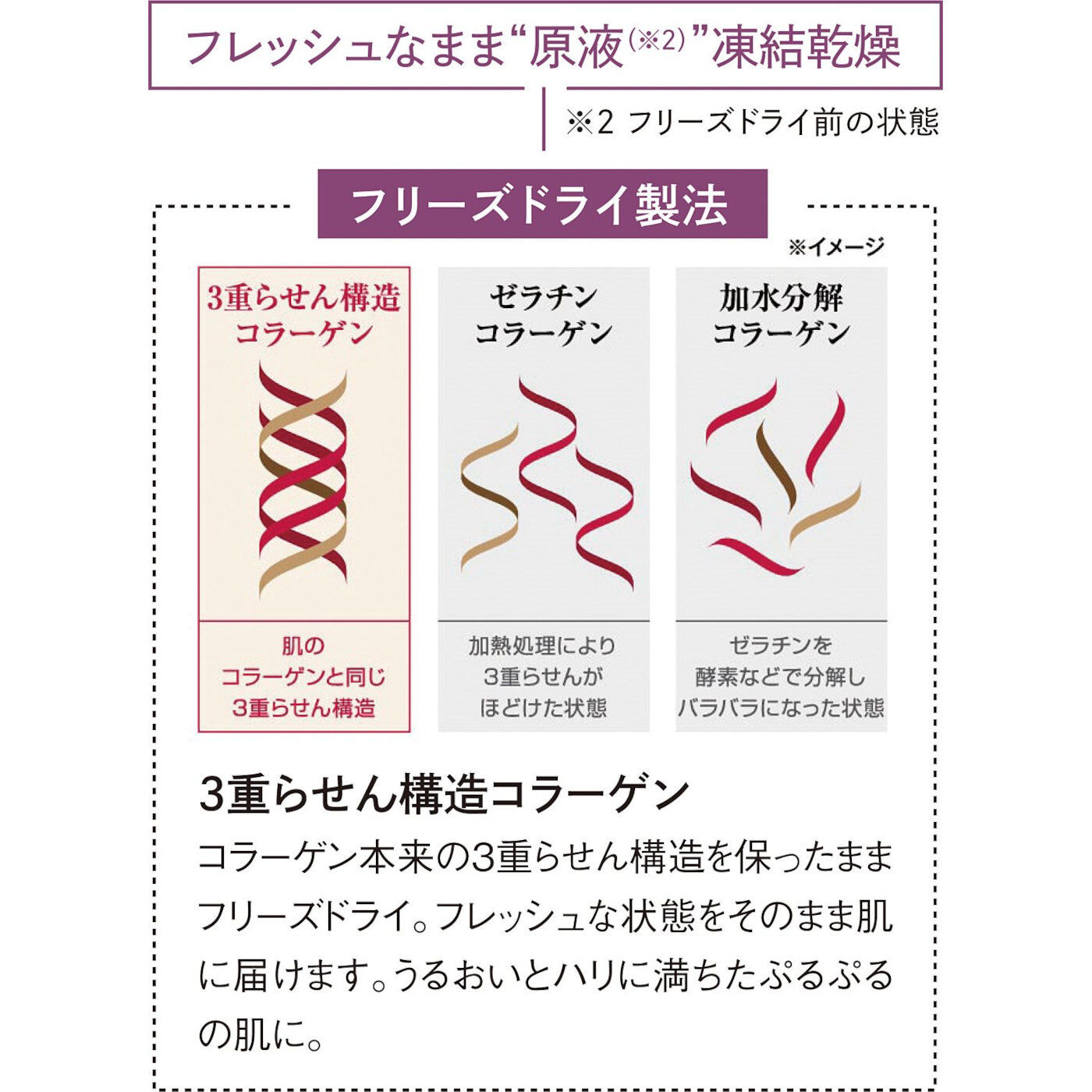 flufeel|濃縮コラーゲンで肌にハリと弾力を　フリーズドライ美容液シート〈10枚入り〉の会