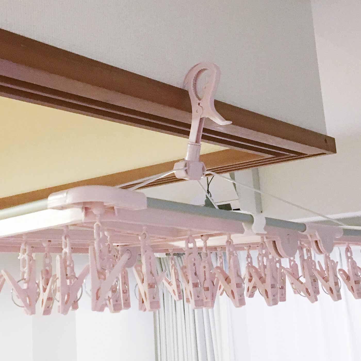 崖っぷちに住むシロイワヤギの姿を再現した「あえてそこにいる