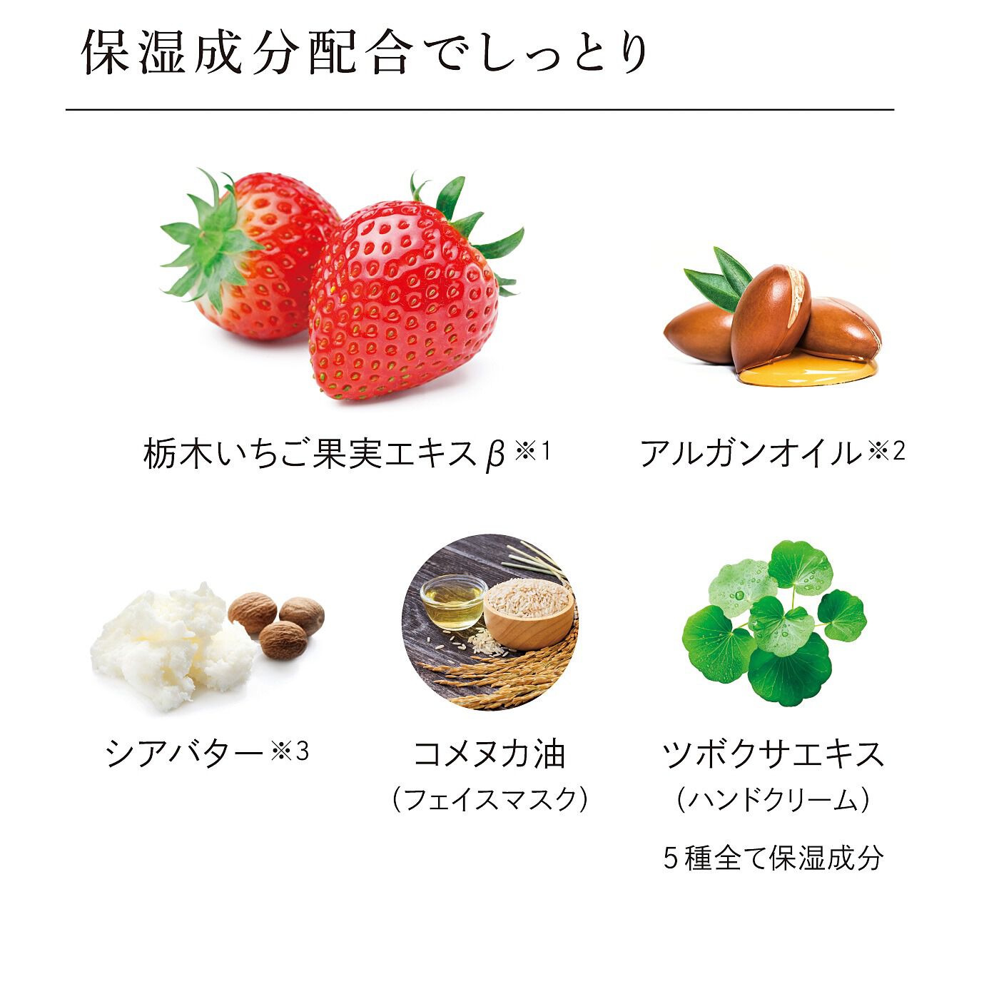 フェリシモの雑貨 Kraso|栃木いちご　ハンドクリームミニ〈２個セット〉の会|廃棄いちごから独自に抽出した栃木いちご果実エキスβ※1をはじめ、ツボクサエキスなどの保湿成分を配合。※1.いちご果実エキス ※2.アルガニアスピノサ核油 ※3.シア脂