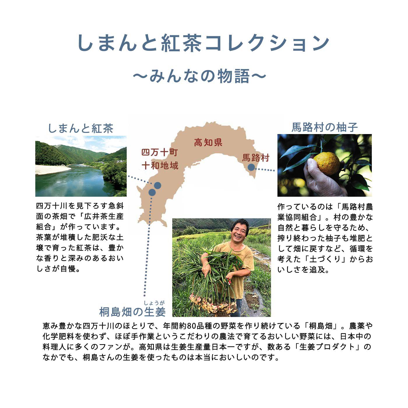 フェリシモの雑貨 Kraso|高知より愛をこめて しまんと紅茶〈ティーバッグ〉の会