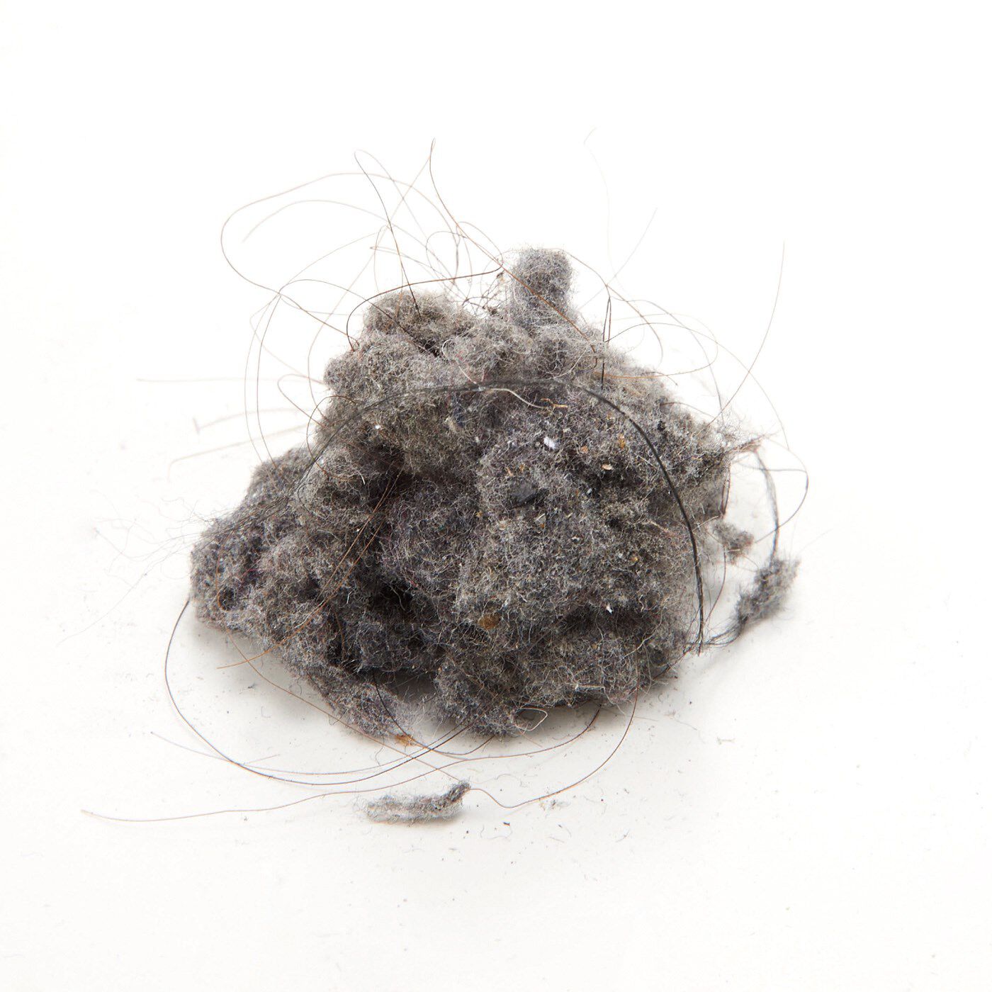 フェリシモの雑貨Kraso|たまったほこりも絡まる髪の毛もブラシでかき出してカット！掃除機ヘッドのゴミかき棒|ほこりがこんなに！