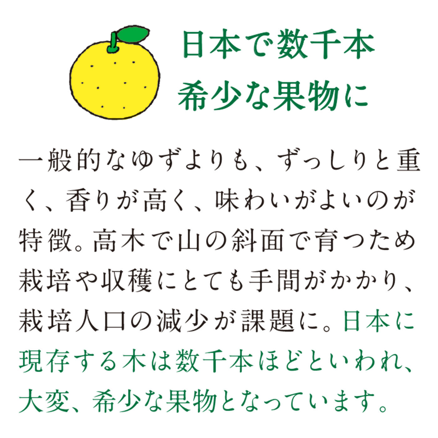 フェリシモの雑貨 Kraso|日本人の心のふるさと里山からの贈りもの　実生（みしょう）ゆず果実丸ごと濃縮リキッド