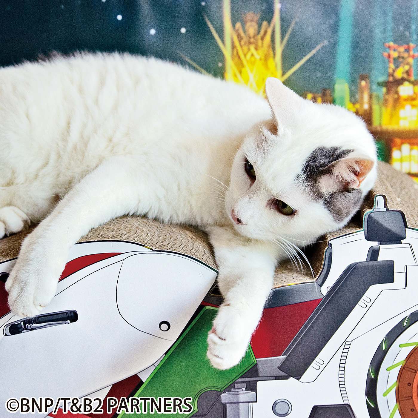 フェリシモの雑貨 Kraso|『TIGER ＆ BUNNY 2』×猫部 ダブルチェイサー猫用つめとぎ|寝転ぶ時にちょうどバイクの背もたれが、実際に猫さんの背もたれになるのもうれしいポイント。モデル猫：いくら（オス 6kg）