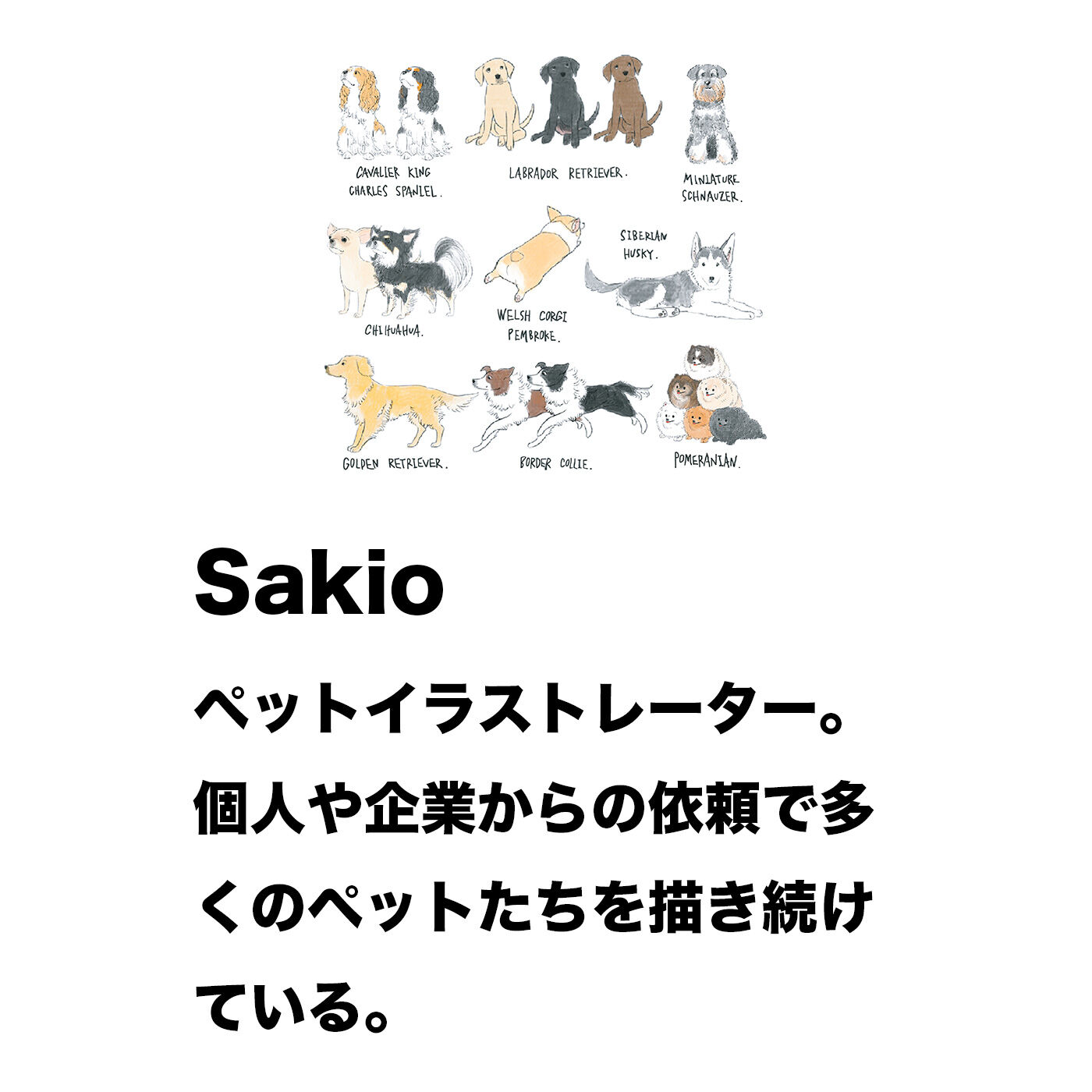 フェリシモの雑貨Kraso［クラソ］|わんわんチャリティーステッカーセット