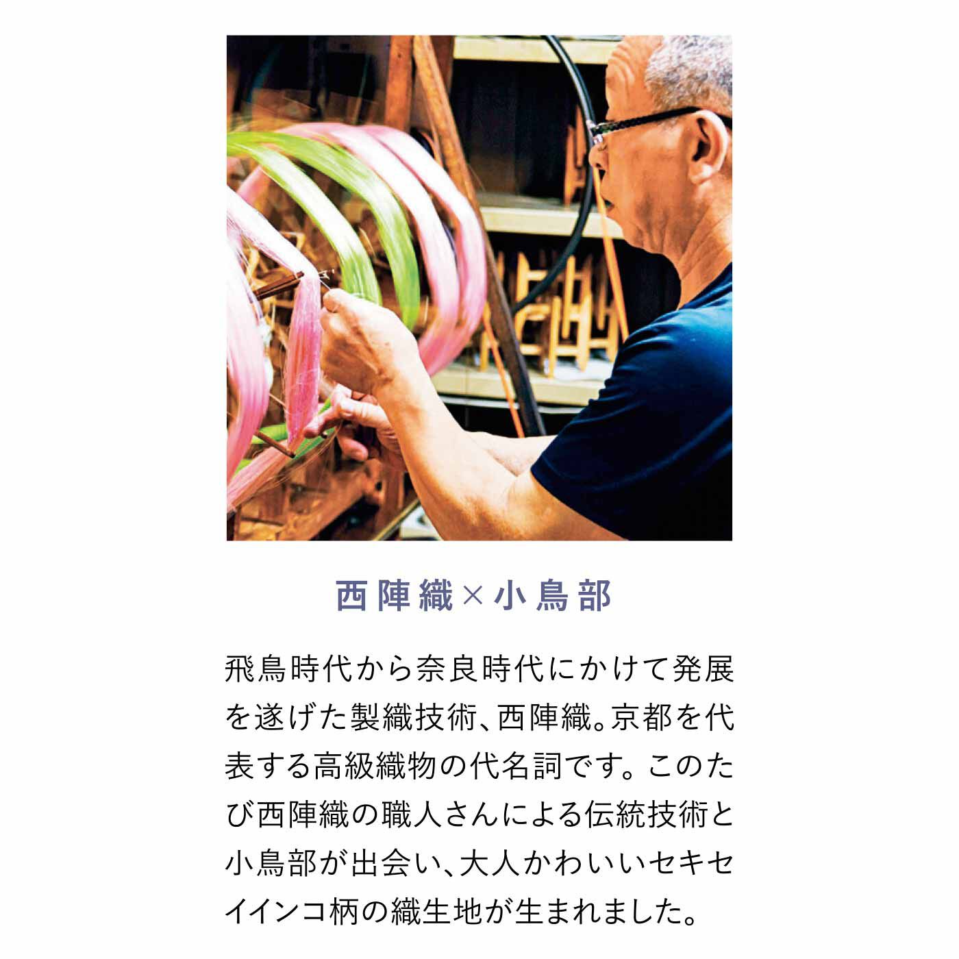 フェリシモの雑貨 Kraso|小鳥部 京都の西陣織で仕立てた セキセイインコのぷっくりがま口ポーチ