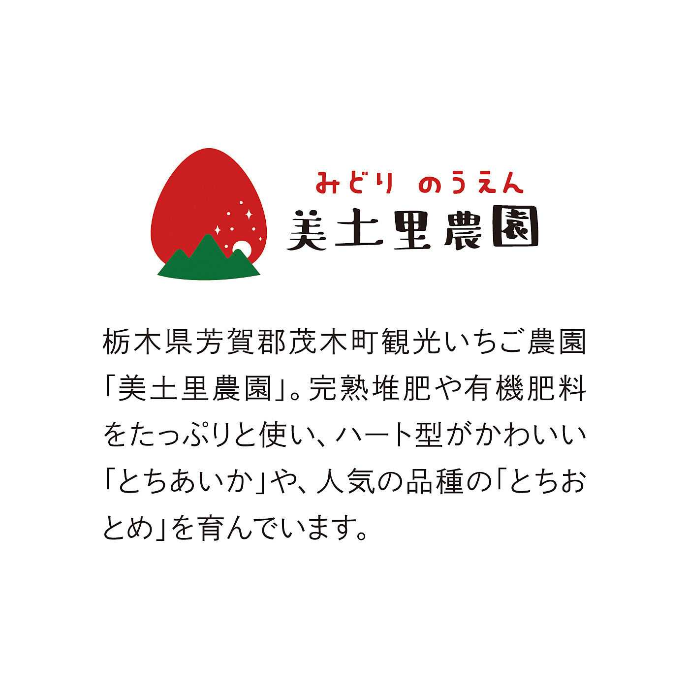 フェリシモの雑貨 Kraso|栃木いちご　ジューシーフェイスマスク〈４枚セット〉の会
