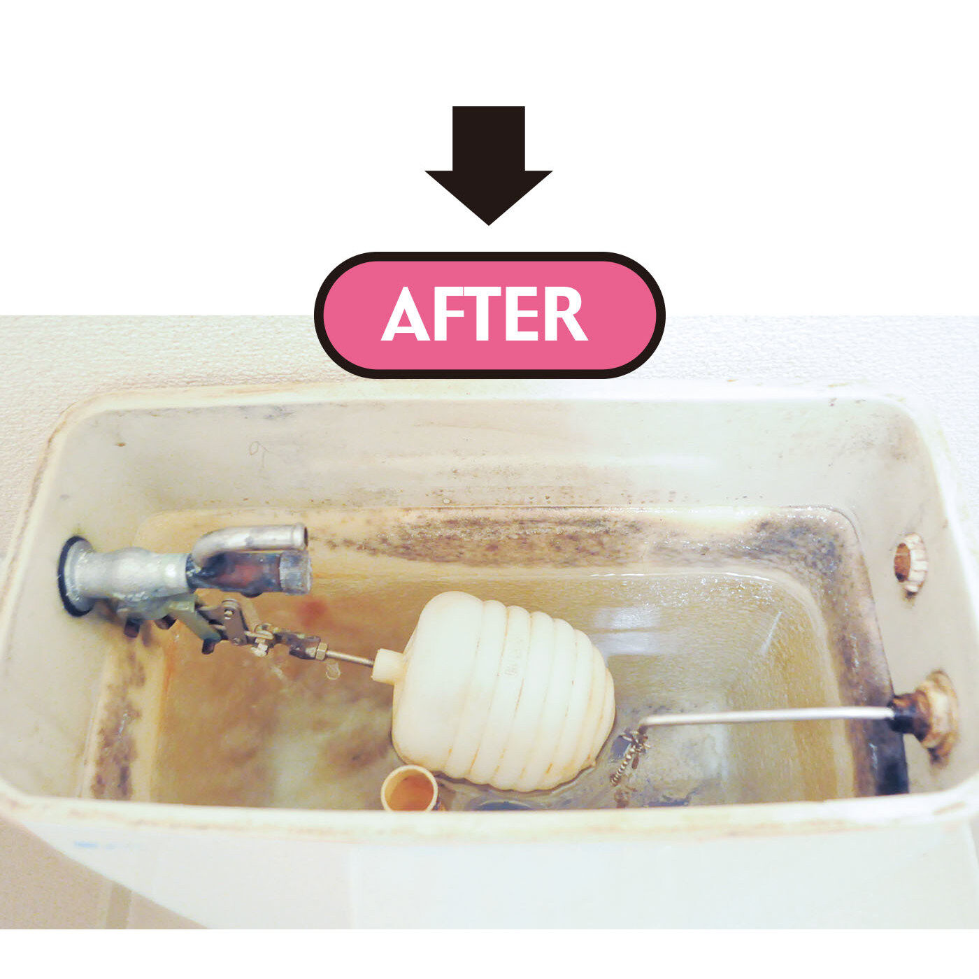 フェリシモの雑貨Kraso|週1回のお掃除ですっきり　入れるだけの　トイレタンククリーナーの会|クリーナーを入れて水面から出ている側壁をブラシでこすり、２時間放置。酸素パワーで強力洗浄！　※使用状況により効果は異なります。