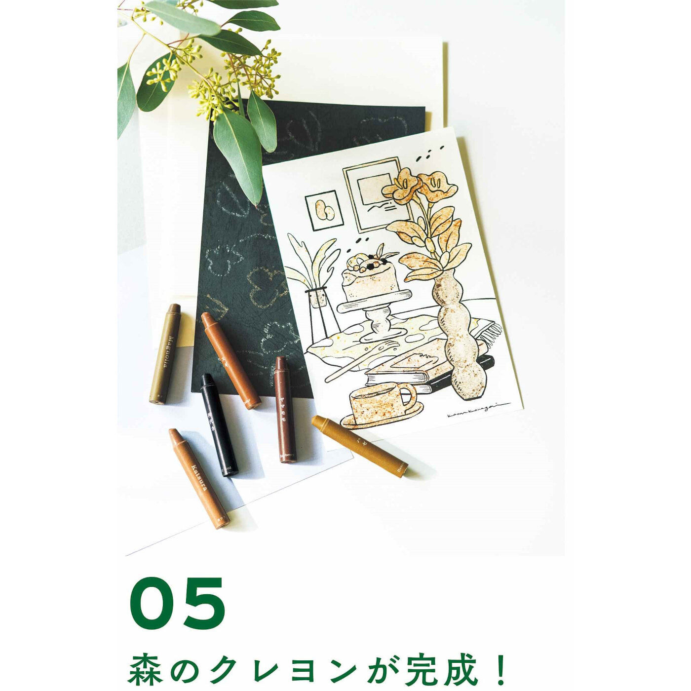 フェリシモの雑貨Kraso［クラソ］|木の色の豊かさをみつける 森のクレヨン