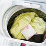 ネットは不要　リピーター 貝殻洗濯槽クリーナー