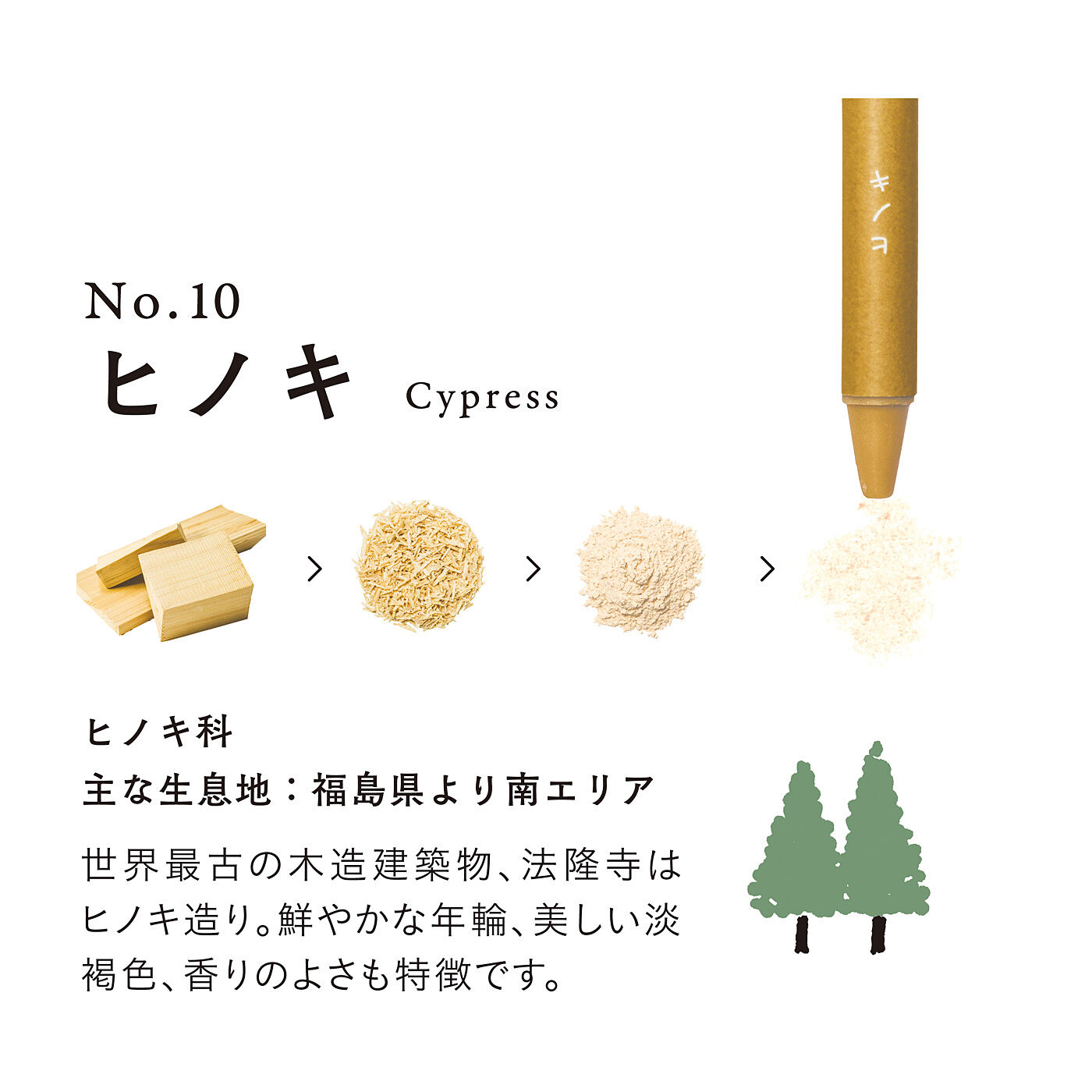 フェリシモの雑貨Kraso［クラソ］|木の色の豊かさをみつける 森のクレヨン