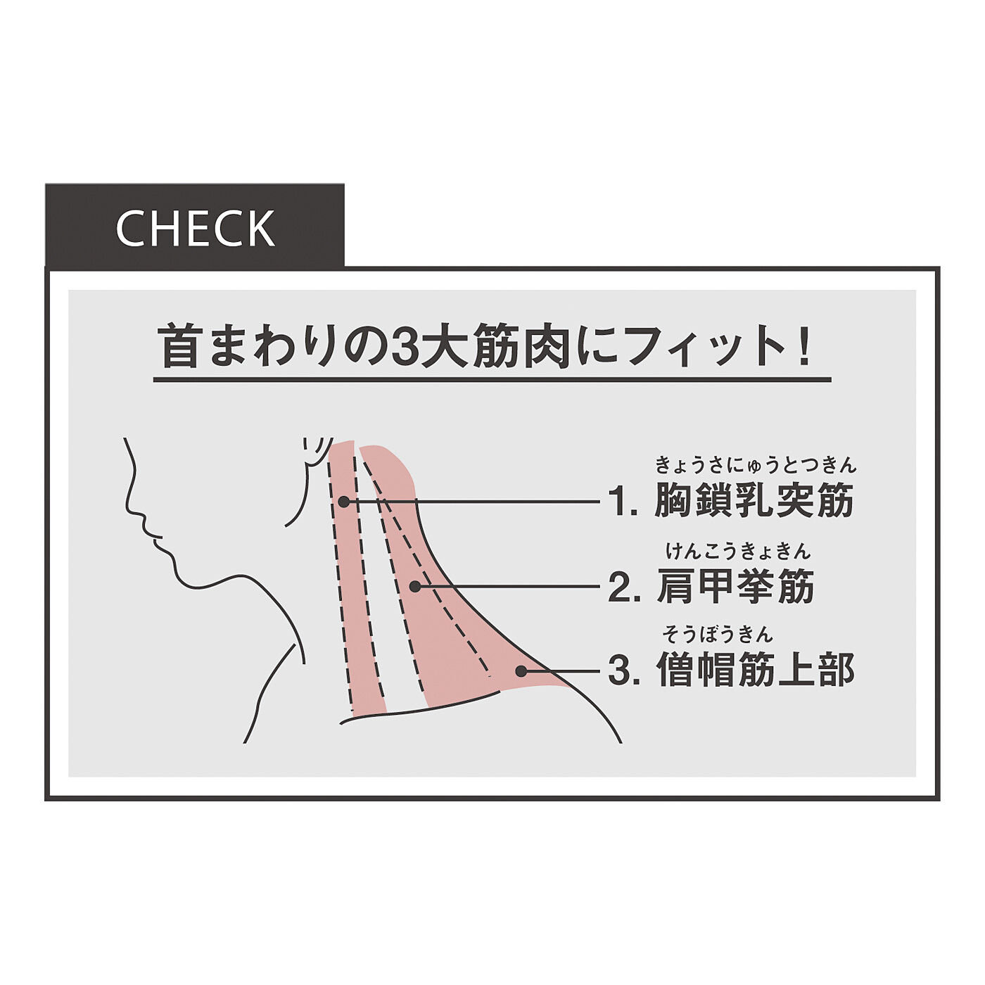 フェリシモの雑貨 Kraso|こりが改善！ 伸びて着脱簡単　シェルの磁気ネックレスの会