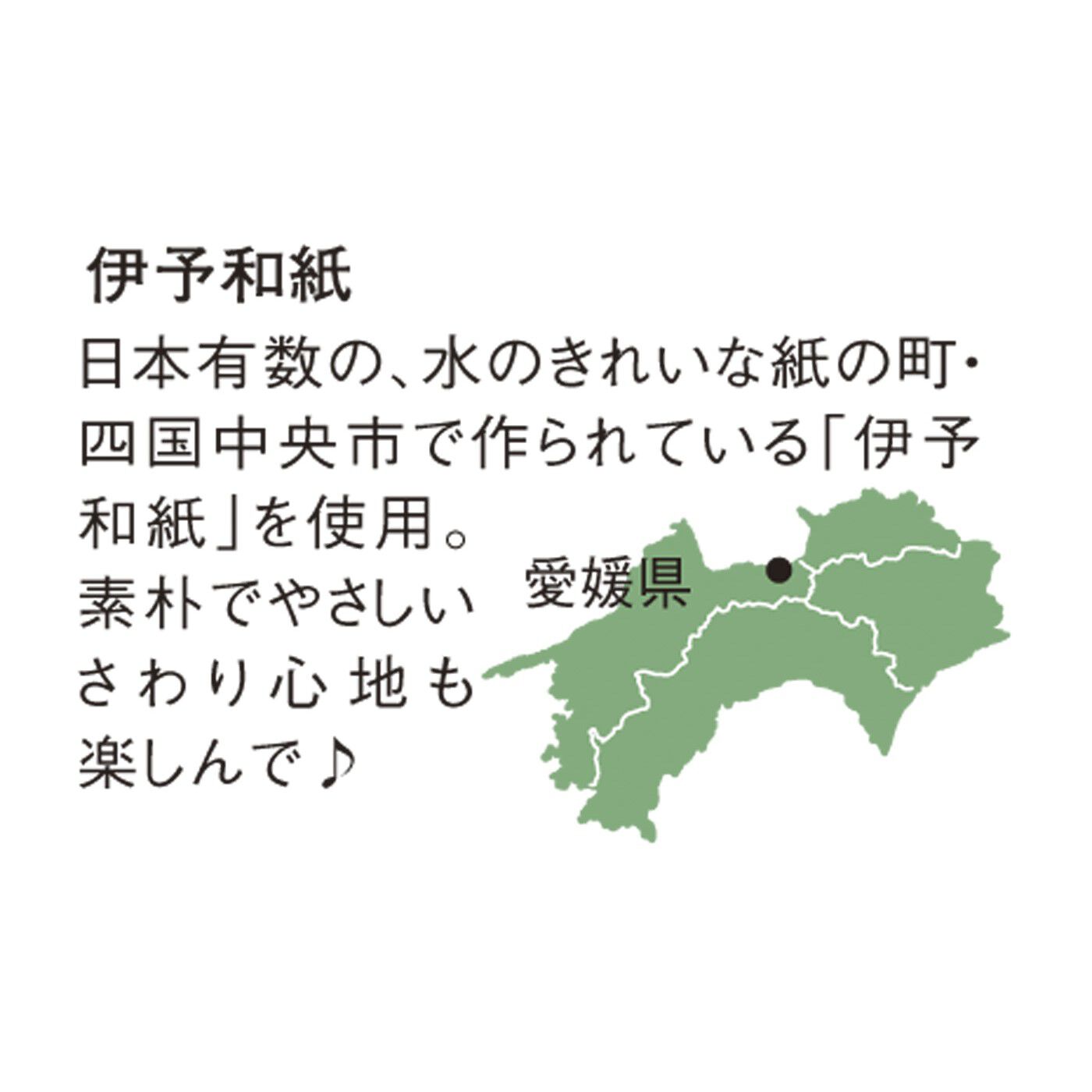 フェリシモの雑貨Kraso［クラソ］|ガラフル　レディーライクな ふわ透け懐紙レターセットの会