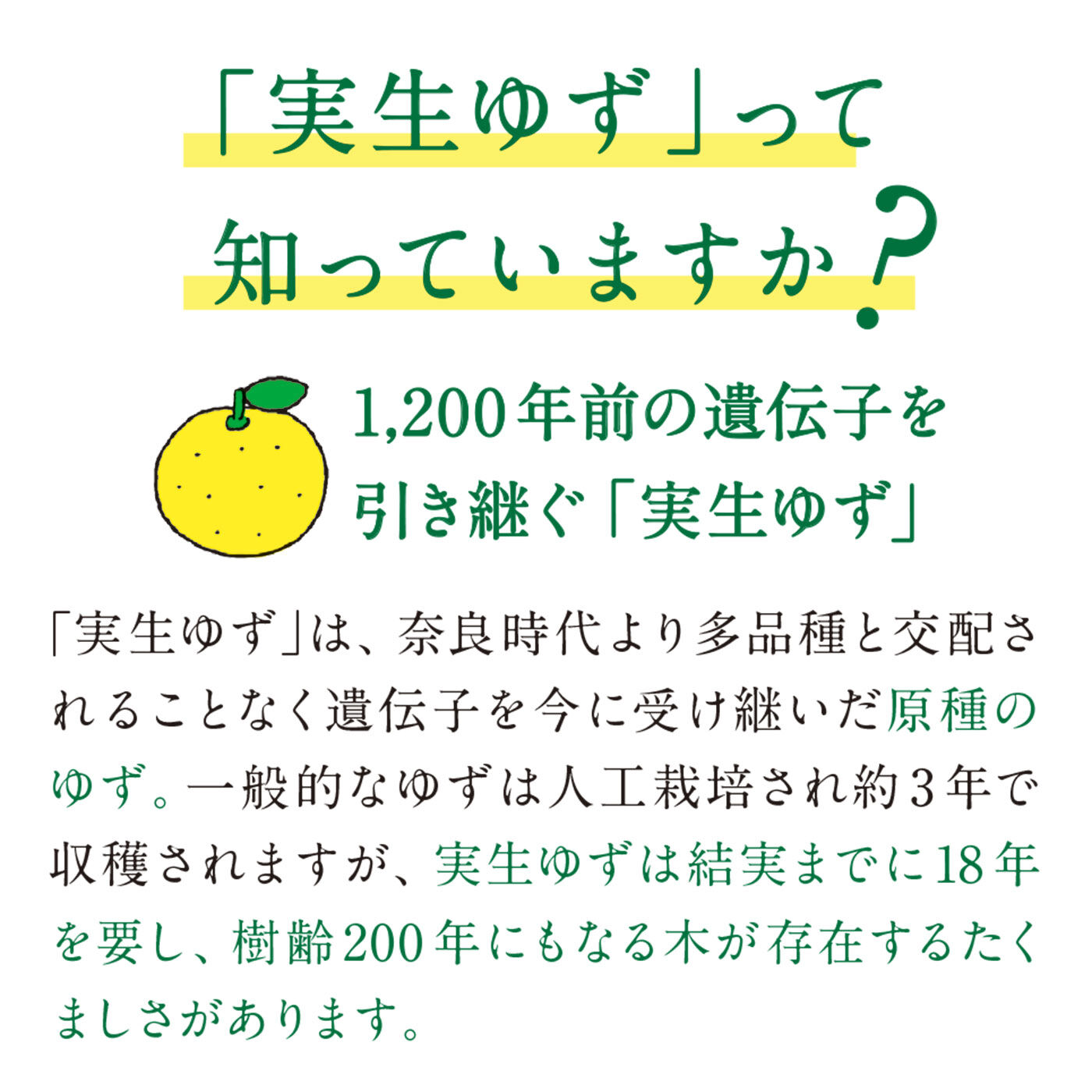 フェリシモの雑貨 Kraso|日本人の心のふるさと里山からの贈りもの　実生（みしょう）ゆず果実丸ごと濃縮リキッド