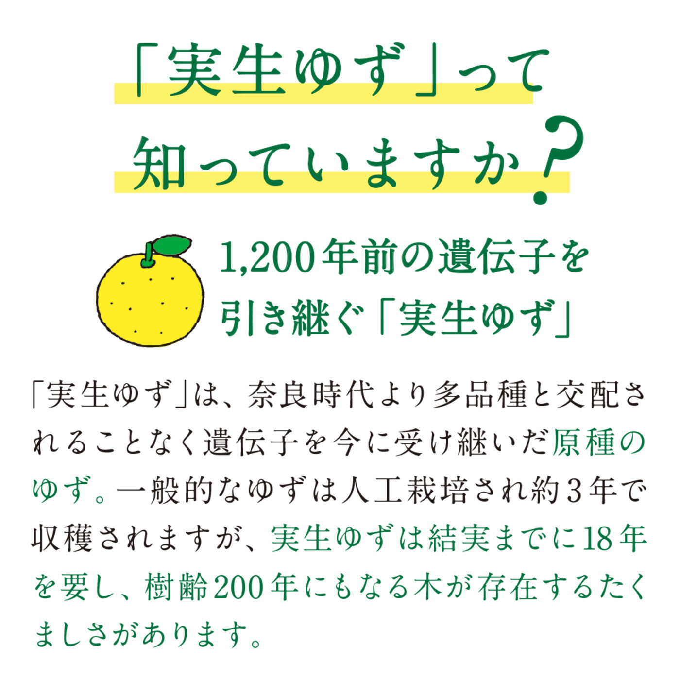 フェリシモの雑貨Kraso|日本人の心のふるさと里山からの贈りもの　実生（みしょう）ゆず果実丸ごとクリスタルキャンディー