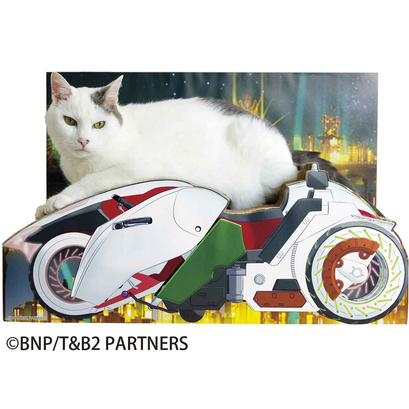 フェリシモの雑貨 Kraso|『TIGER ＆ BUNNY 2』×猫部 ダブルチェイサー猫用つめとぎ|程よい流線形が、猫ベッドとしても優秀。モデル猫：いくら（オス 6kg）