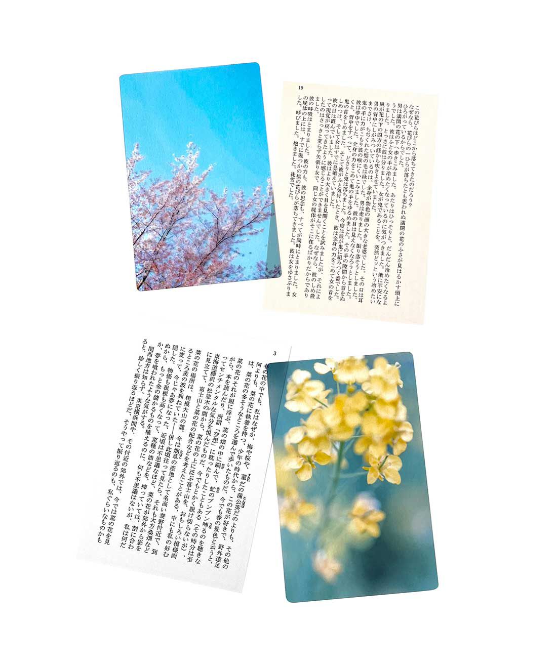 フェリシモの雑貨 Kraso|本好きさんに贈る「透明しおり」２種類セット〈風景〉の会|●1回のお届けセット例です。透明しおり2枚セット（柄違い）。上：青空に桜 下：菜の花 。文庫本サイズの素敵な台紙にセットしてお届けします。