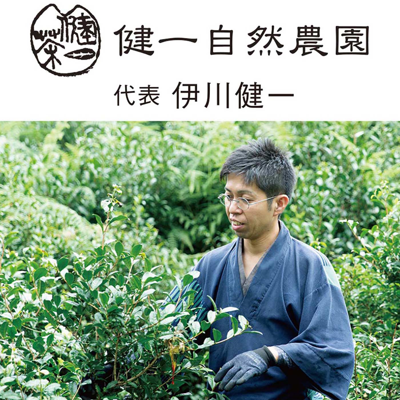 フェリシモの雑貨 Kraso|健一自然農園Ｘフェリシモ　豊かな未来をつくるお茶セット〈ティーバッグ〉の会|「健一自然農園」は、奈良県北東部に広がる「大和高原」にあります。2001年、15年ほど放棄されていた耕作放棄農地の活用からはじまり、その後も地域の茶園を受け継ぎ「自然栽培」でお茶を育てています。「自然栽培」という言葉には、法律では定義がなされていないため第三者認証がありませんが、健一自然農園が行なっているのは、農薬・肥料を使わず、大地やさまざまな生きものと調和してお茶を育てる栽培方法です。