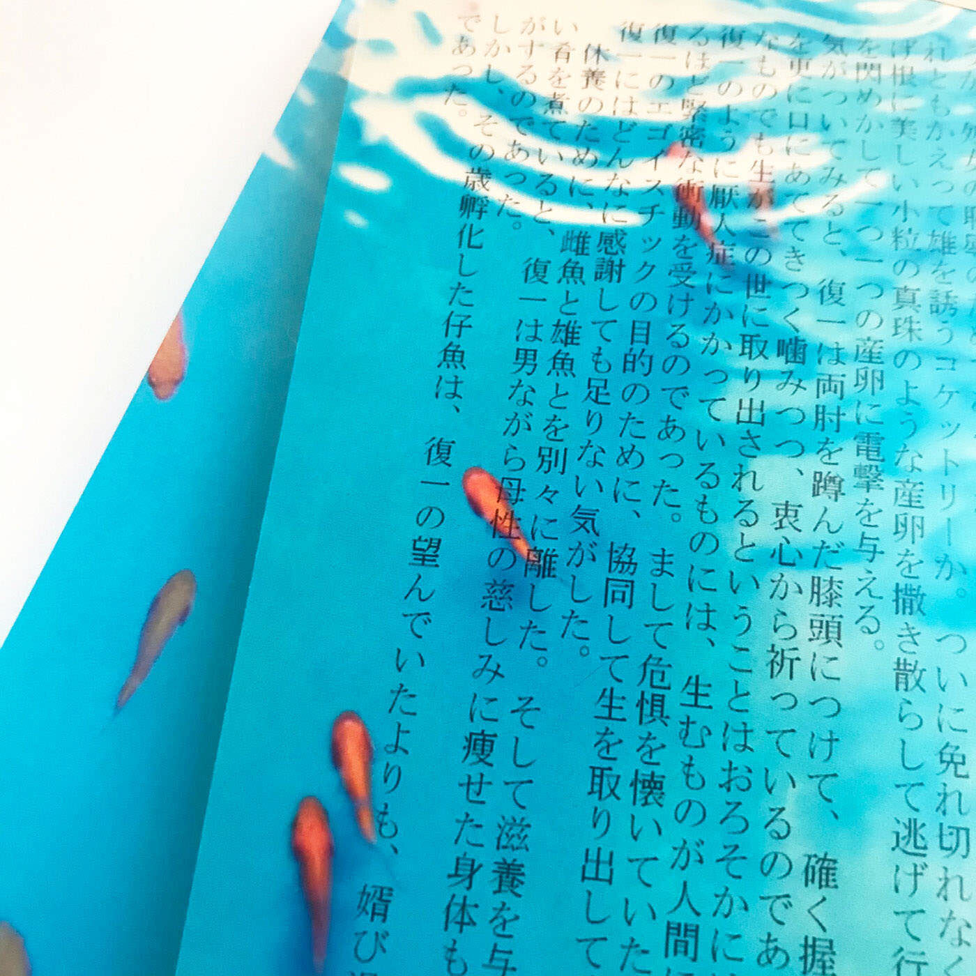 フェリシモの雑貨 Kraso|本の中を金魚が泳ぐ!?　金魚の透明しおりセット〈三尾和金・琉金＆小赤〉