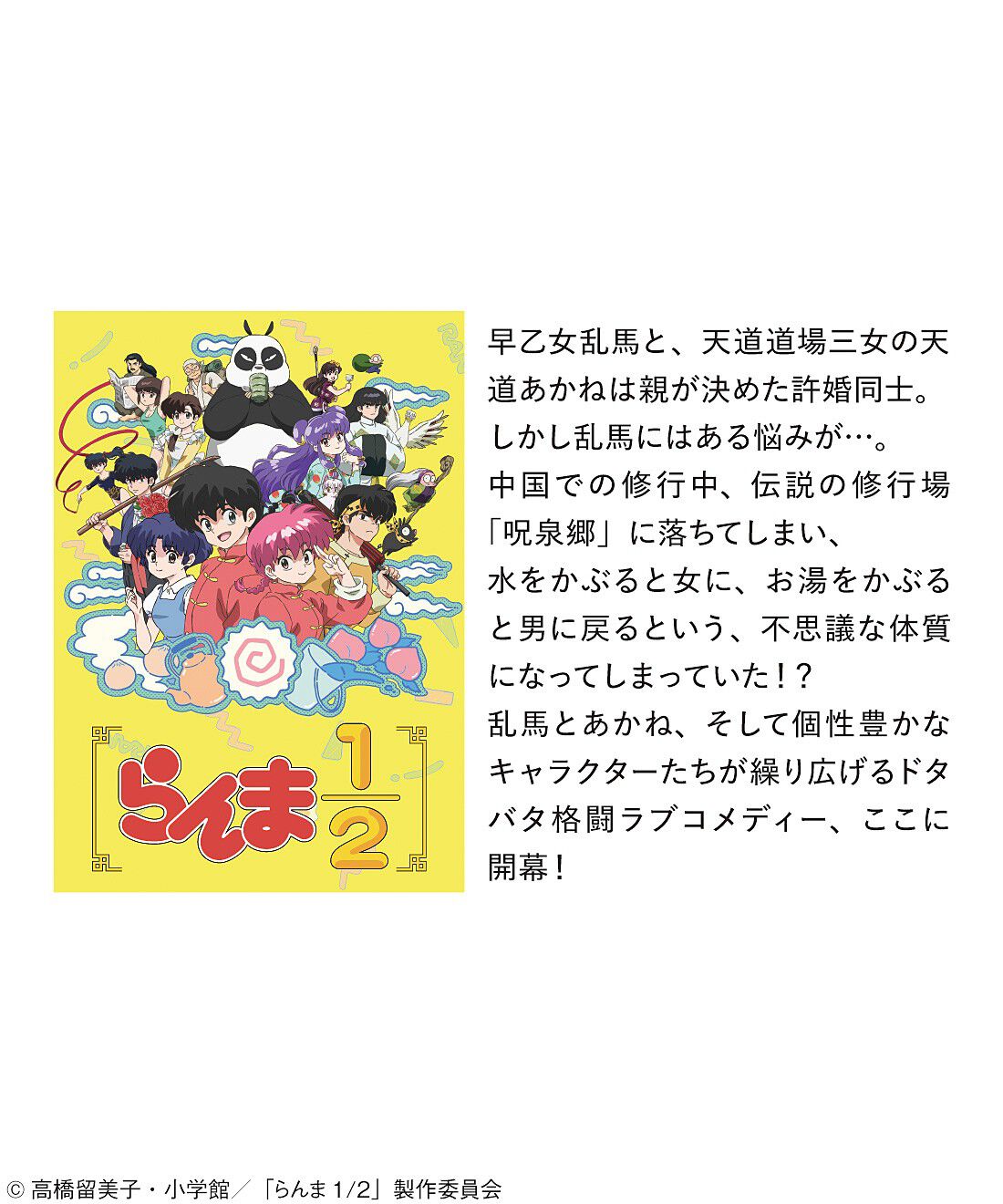 フェリシモの雑貨 Kraso|【2026年2月分お届け】らんま１／２　チャイナ服を気軽にまとえる　可憐なシースルーソックス〈シャンプー〉