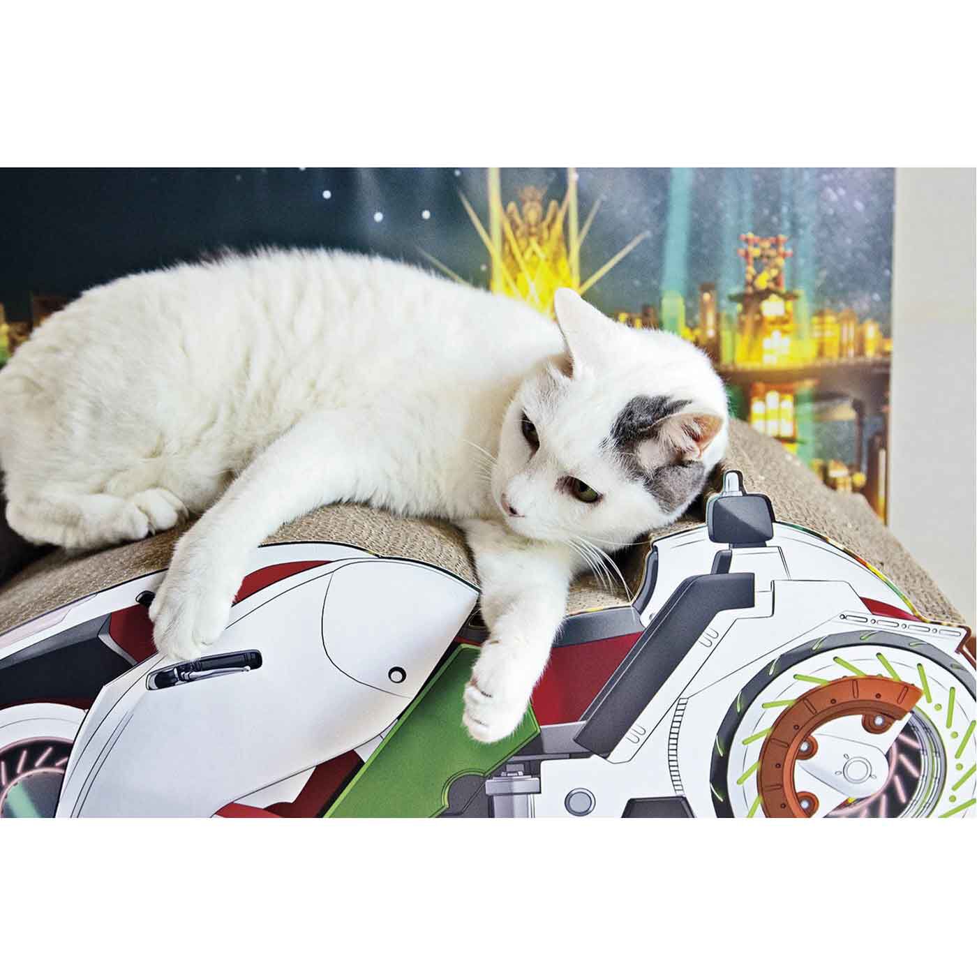 フェリシモの雑貨 Kraso|『TIGER ＆ BUNNY 2』×猫部 ダブルチェイサー猫用つめとぎ|寝転ぶ時にちょうどバイクの背もたれが、実際に猫さんの背もたれになるのもうれしいポイント。モデル猫：いくら（オス 6kg）