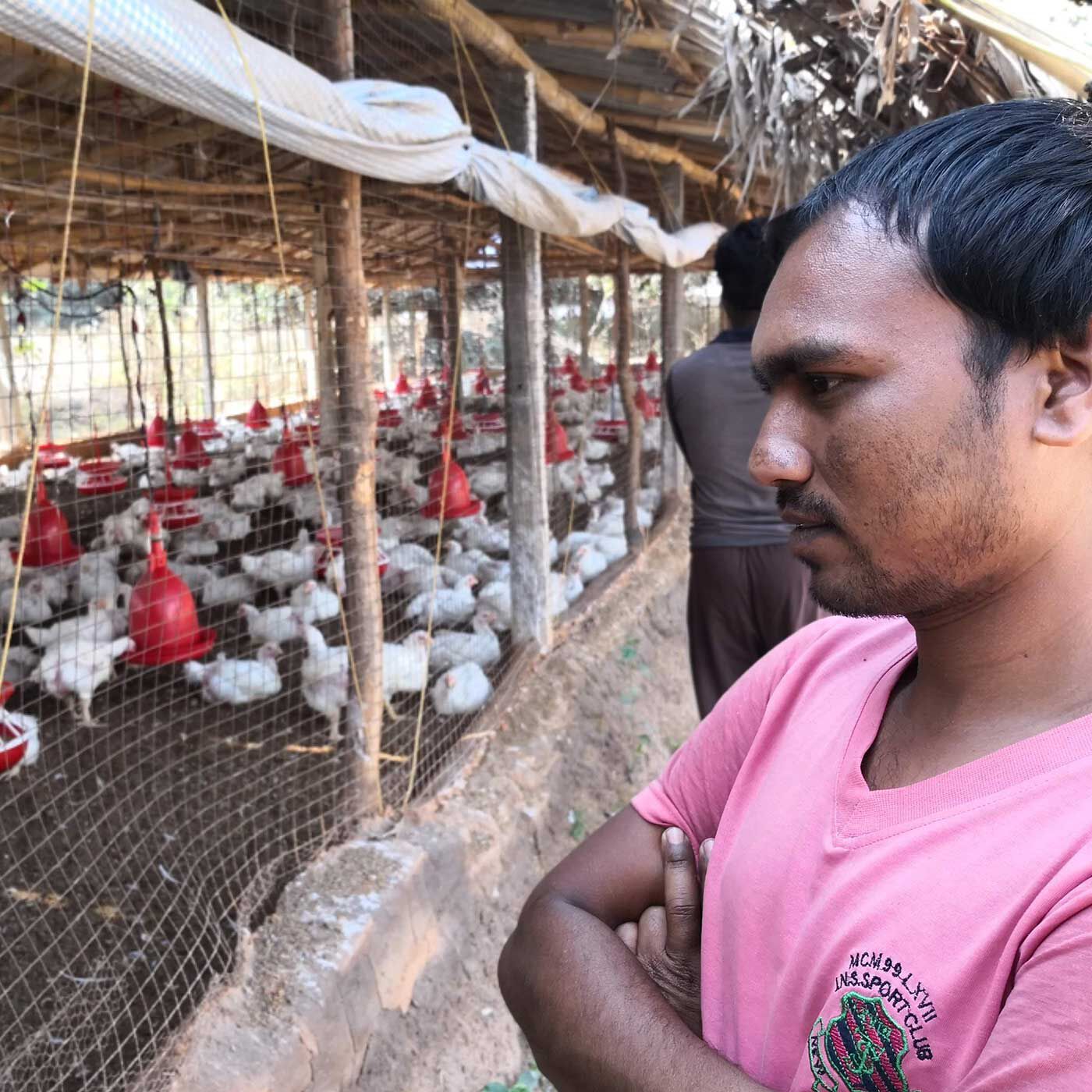 フェリシモの雑貨Kraso|フェリシモ　地球村の基金|(C)わぴねす　育ってきた鶏を見守る参加者（インド）