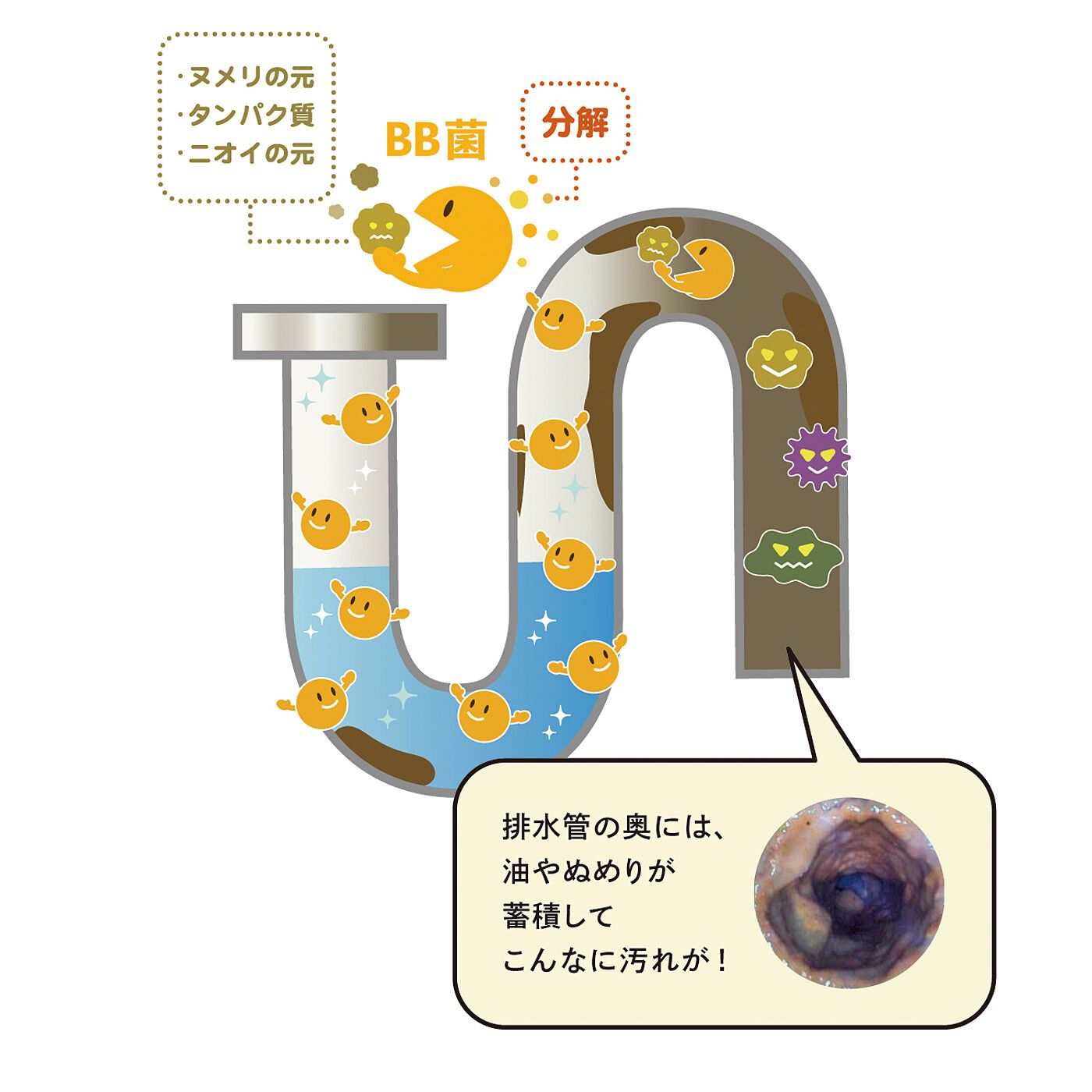 フェリシモの雑貨Kraso［クラソ］|キッチンまわりのにおい対策　ぬめりに掛けるだけ　ふりふりバイオパウダーの会