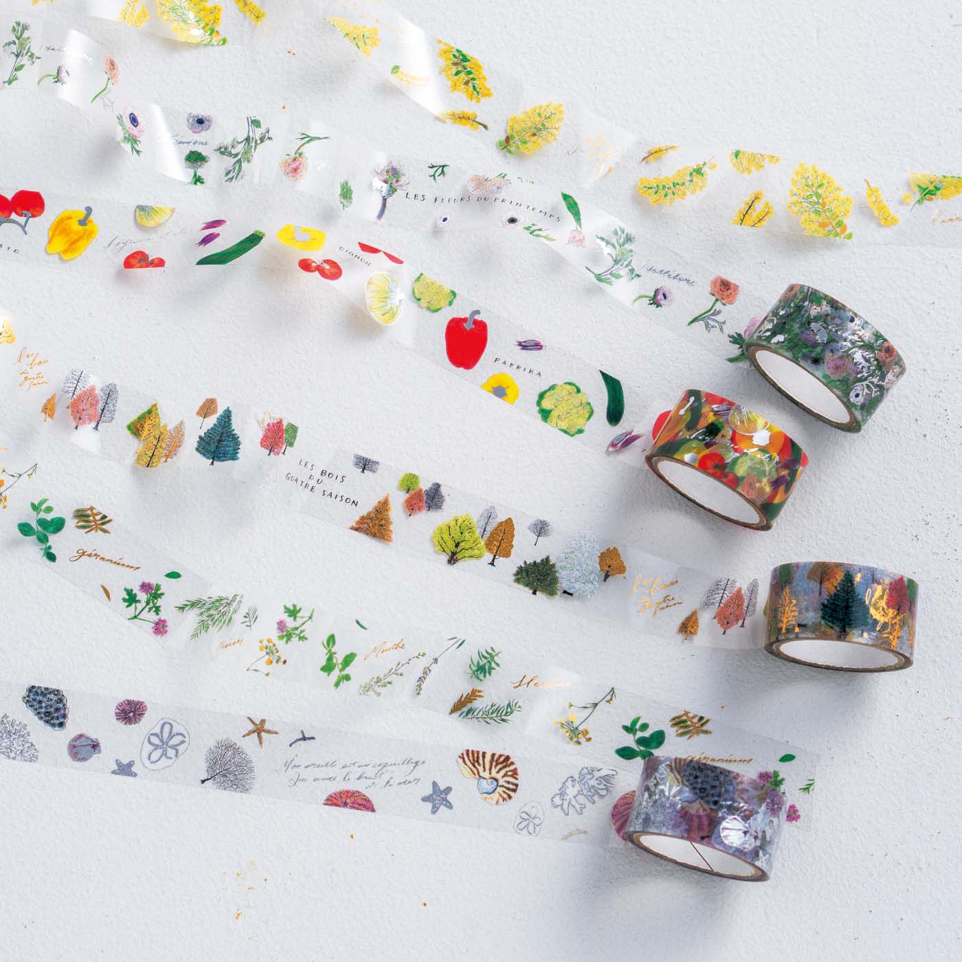 フェリシモの雑貨Kraso|ガラフル　さりげない箔押しが美しい　カリグラフィー透明テープの会|上から順に：Mimosa、Fleurs、Legumes、Ardres、Ocean