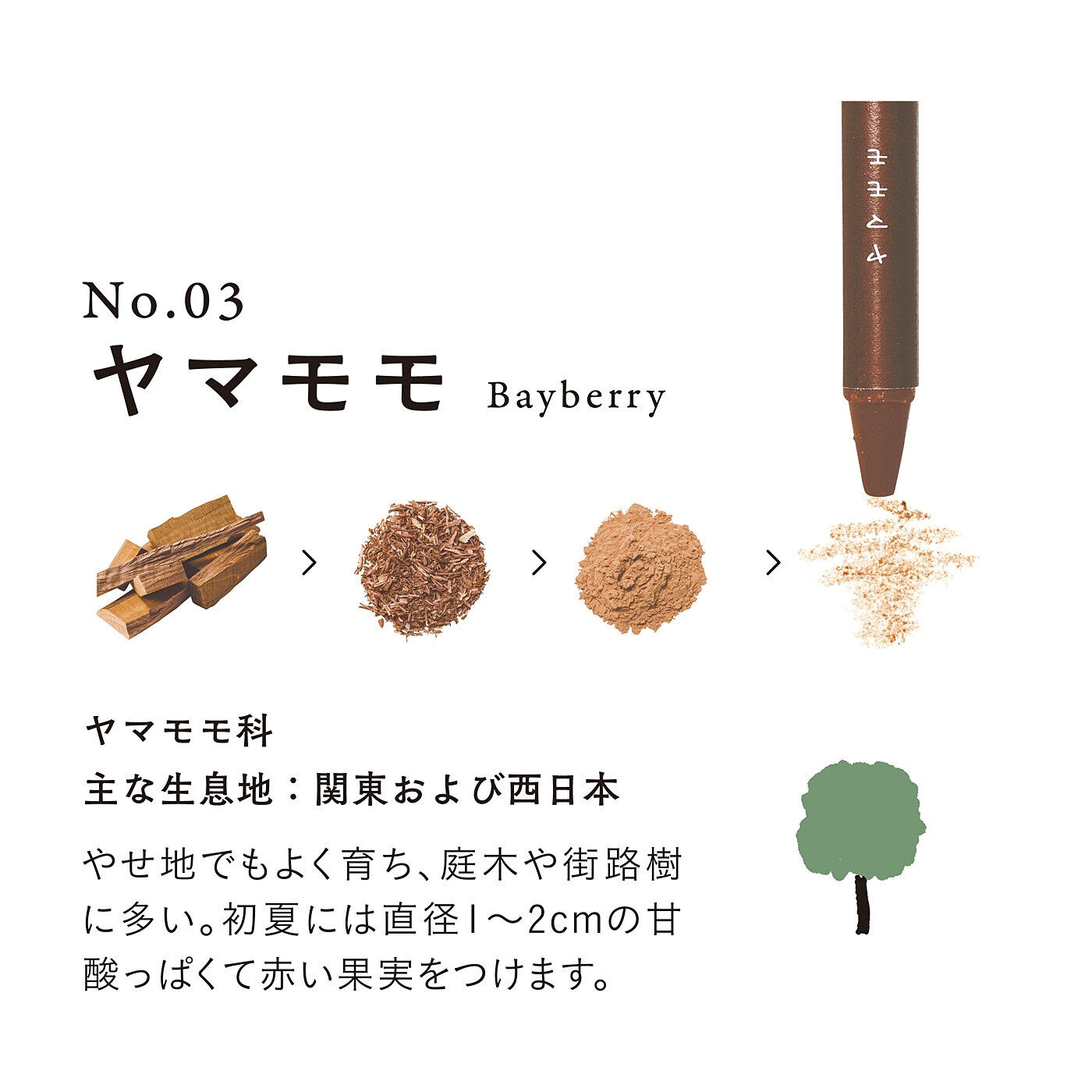 フェリシモの雑貨Kraso［クラソ］|木の色の豊かさをみつける 森のクレヨン