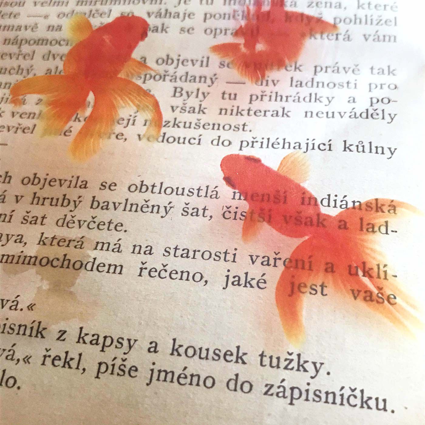 フェリシモの雑貨 Kraso|本の中を金魚が泳ぐ!?　金魚の透明しおりセット〈三尾和金・琉金＆小赤〉|今では、金魚は私の「知的好奇心を満たしてくれる存在」になりました。金魚の形、動き、たまに見せる感情的な表情を写真に収めるのが好きです。そして、金魚を撮影する仕事をしたり、金魚の写真をモチーフに作品をつくったり、「金魚作家」として活動していくうちに、急速にいろいろな縁が広がって……。なので、私にとって金魚は”縁起がいい”イメージでもあります。金魚は、私と人をつないでくれるものかも知れません。