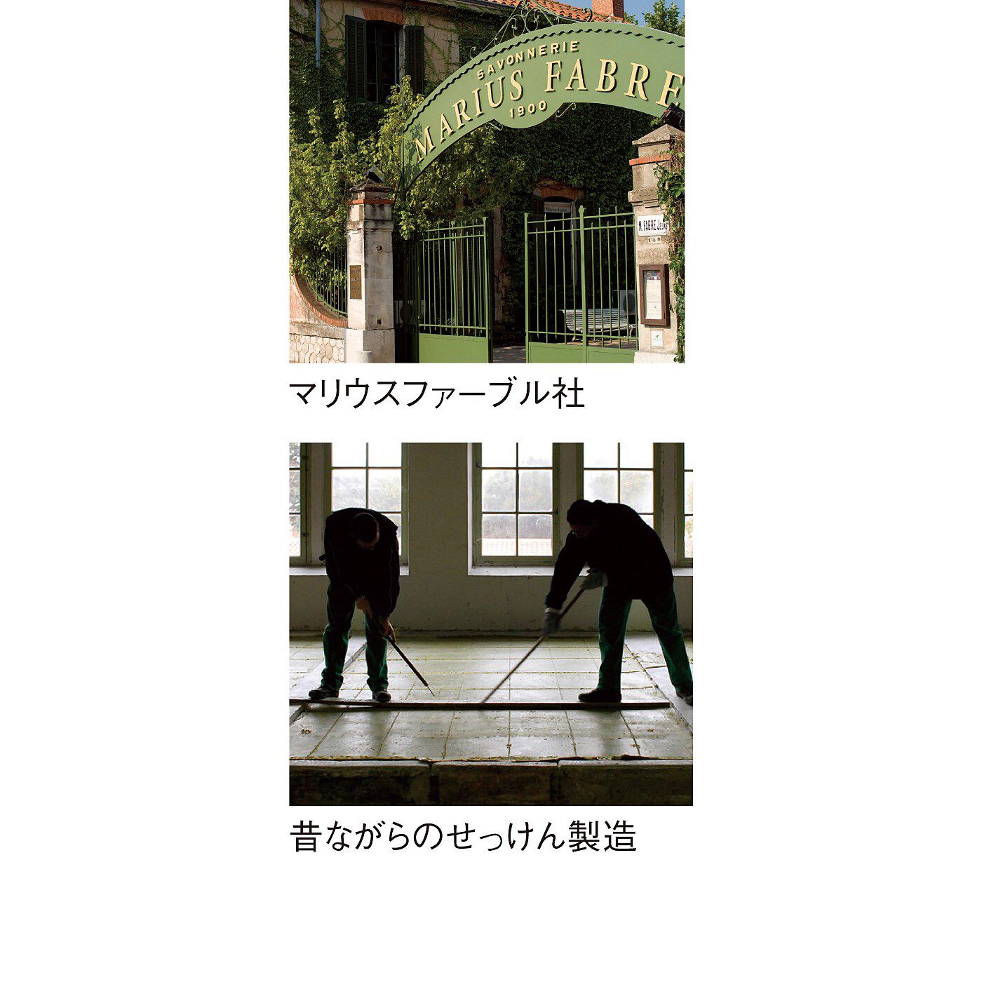 フェリシモの雑貨 Kraso|３００年以上愛される洗い上がり　伝統製法にこだわった　マルセイユせっけんの会|サボン ド マルセイユの特徴　1900年創業のマリウスファーブル社製のマルセイユせっけんは、天然油脂を原料に、昔ながらの「釜炊きけん化法」で作られています。 オレイン酸をたっぷり含み、やさしい泡立ちでしっとりとした使い心地が特徴です。