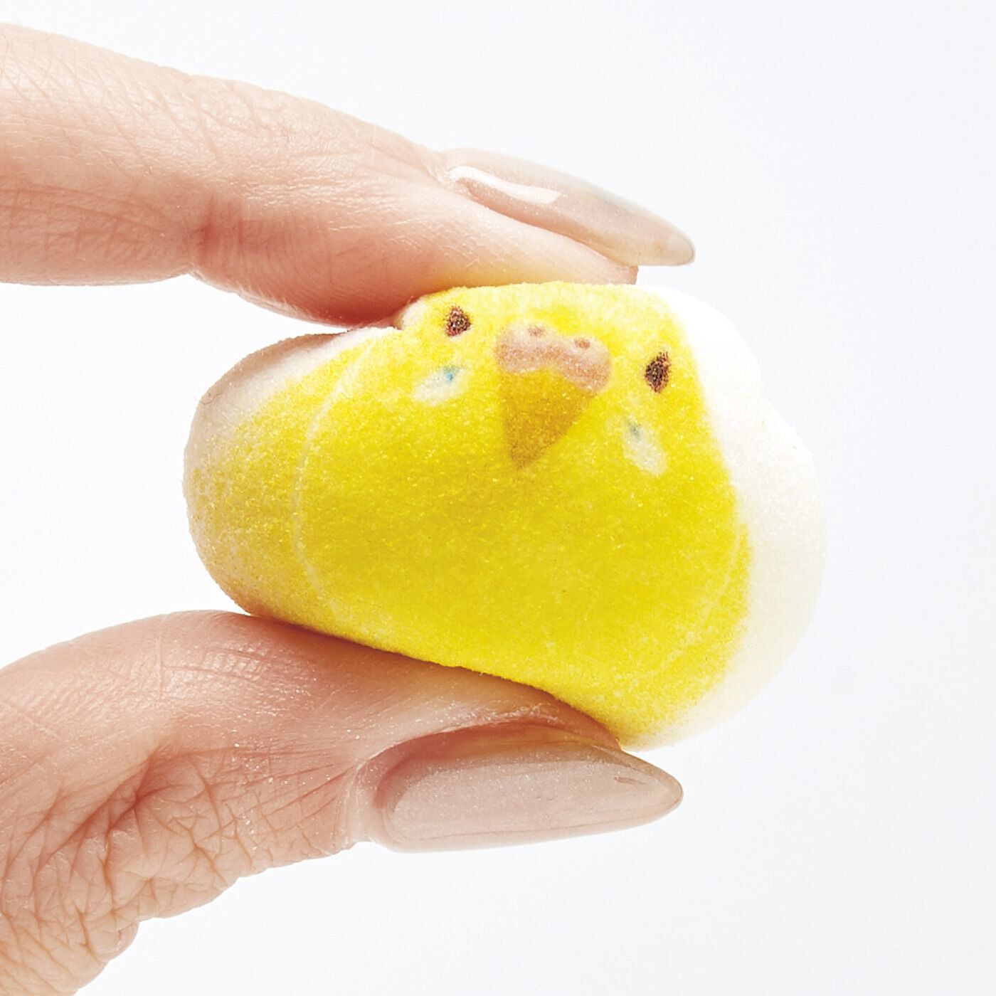フェリシモの雑貨Kraso［クラソ］|小鳥部　ちょこんと勢ぞろい ミニ和風マシュマロインコのほうずい〈チョコ餡〉15個入り