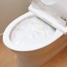 月１回のラップ掃除トイレ泡もこもこ除菌クリーナー