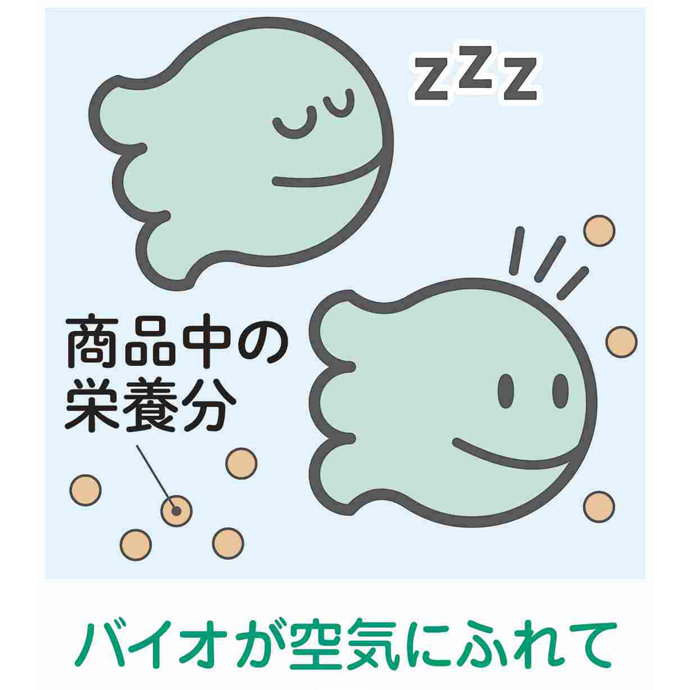 フェリシモの雑貨Kraso［クラソ］|窓枠に貼るだけ清潔キープ　バイオのチカラ　カビ発生抑制プレートの会
