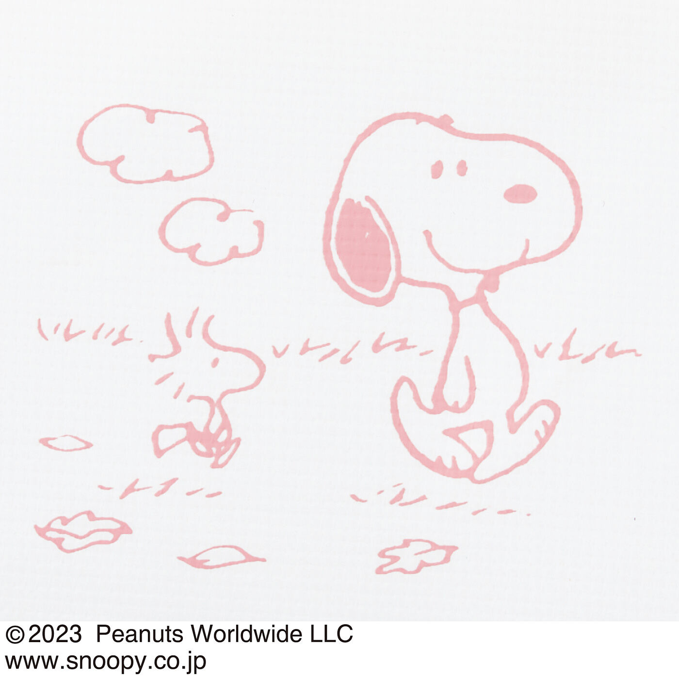 PEANUTS スヌーピー ザブザブ洗える  デイリー編ミニトートバッグの会｜トートバッグ｜バッグ｜バッグ・財布・靴｜インテリア・キッチン収納・生活雑貨の通販｜フェリシモの雑貨Kraso