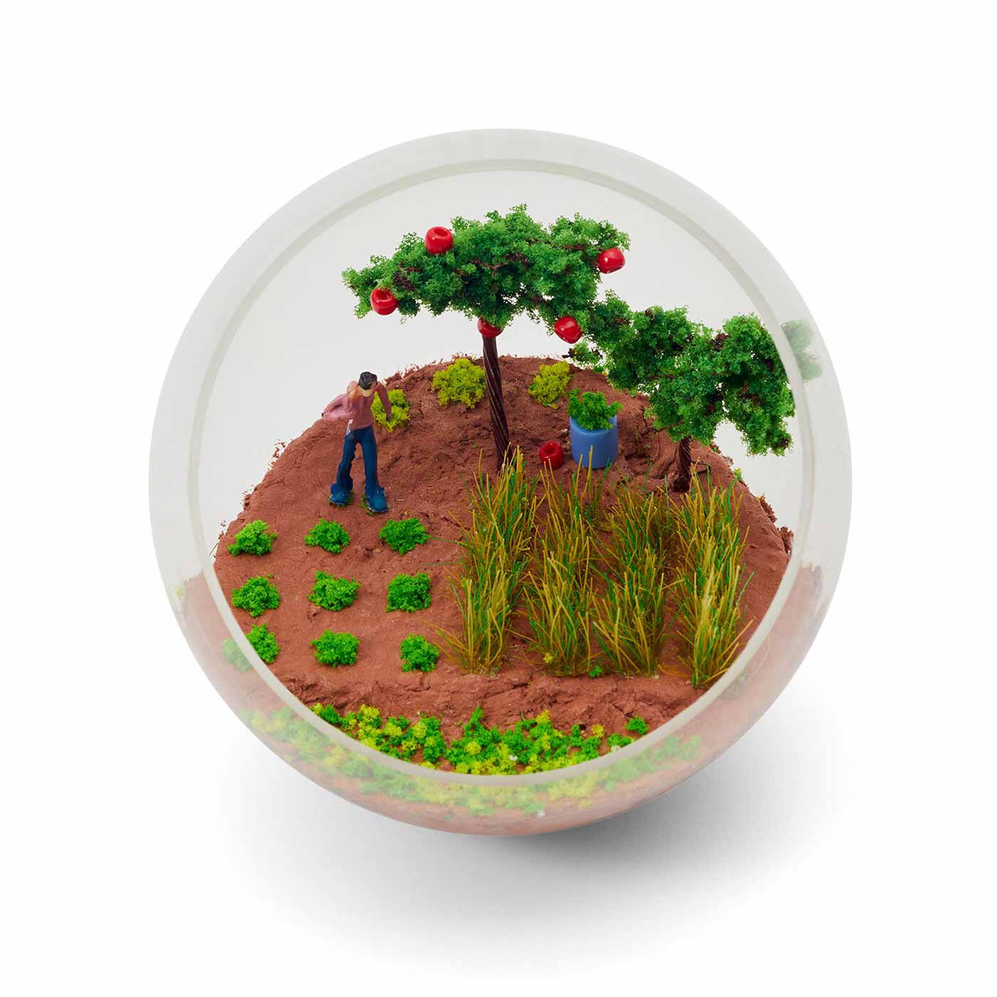 クチュリエ|手のひらサイズの小さなオアシス 草木の模型パーツで作るジオラマテラリウムの会|〈楽しみな収穫日〉
