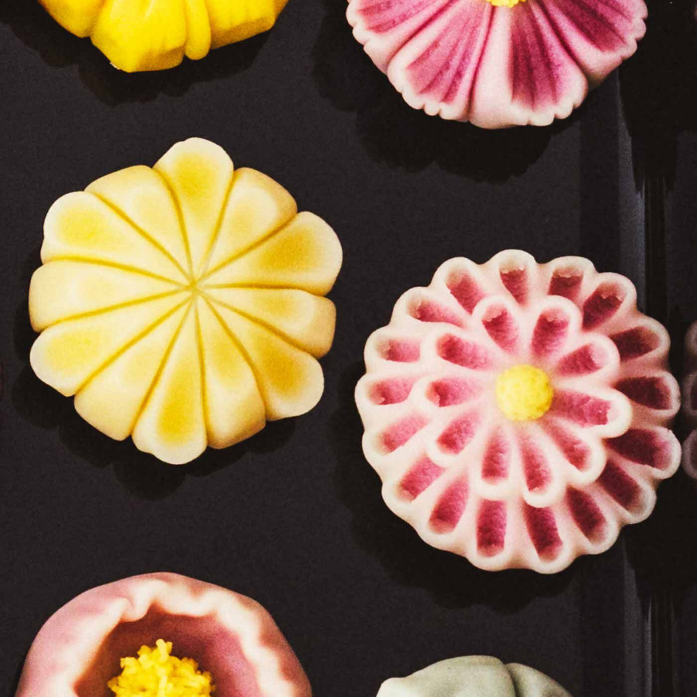 Couturier|【クチュリエクラブ会員限定】和菓子職人になった気分で 季節を味わう 12ヵ月の練り切りの会（期間予約）|10月分お届け 菊とひな菊