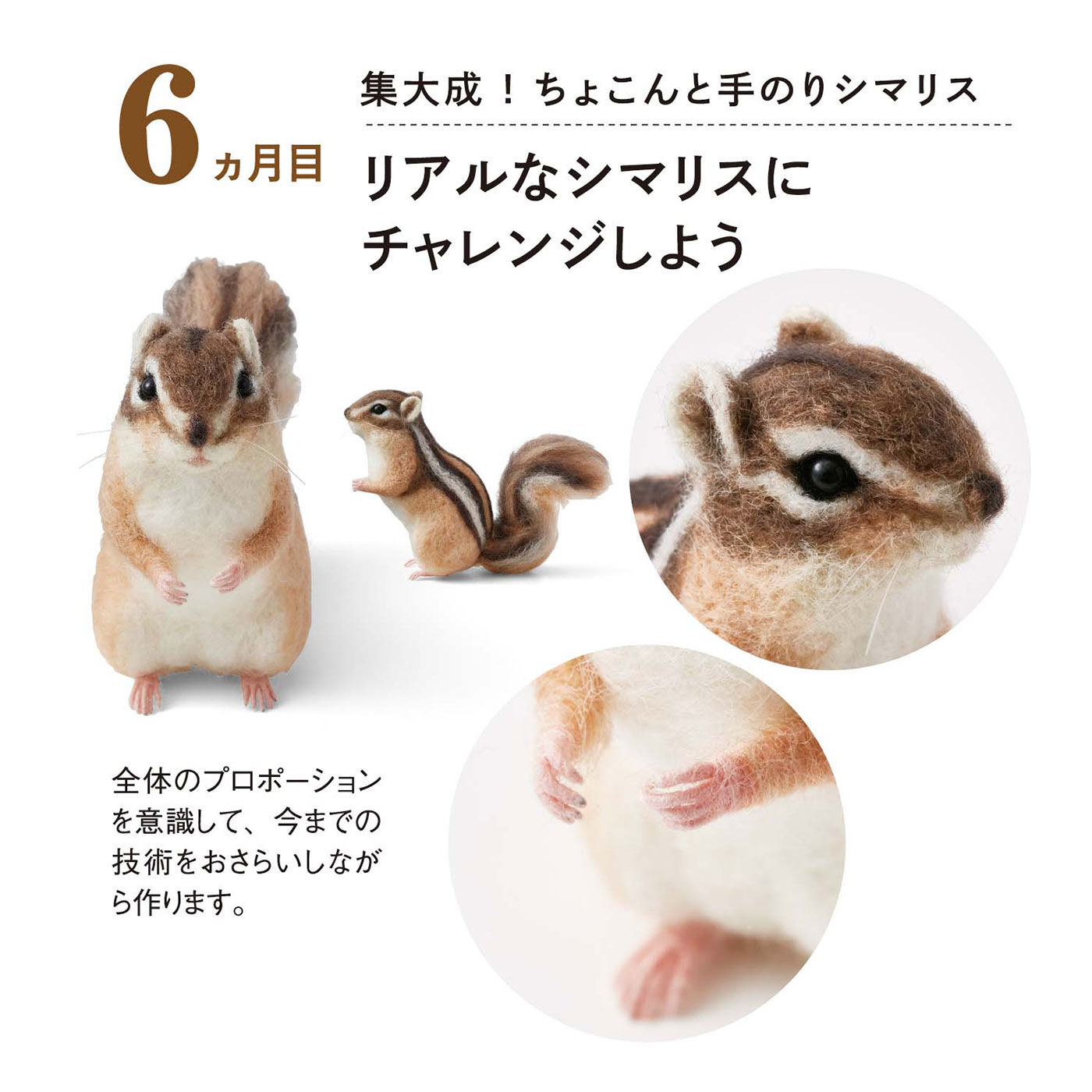 Couturier[クチュリエ]|【初回特別価格　6回エントリー】おはなしが聞こえてきそう♪　ニードルフェルトで作る動物たち「はじめてさんのきほんのき」の会
