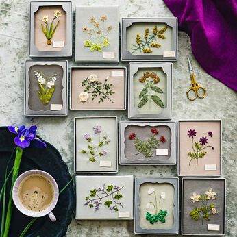 クチュリエ | 植物学者のコレクションリボン刺しゅうの花の標本