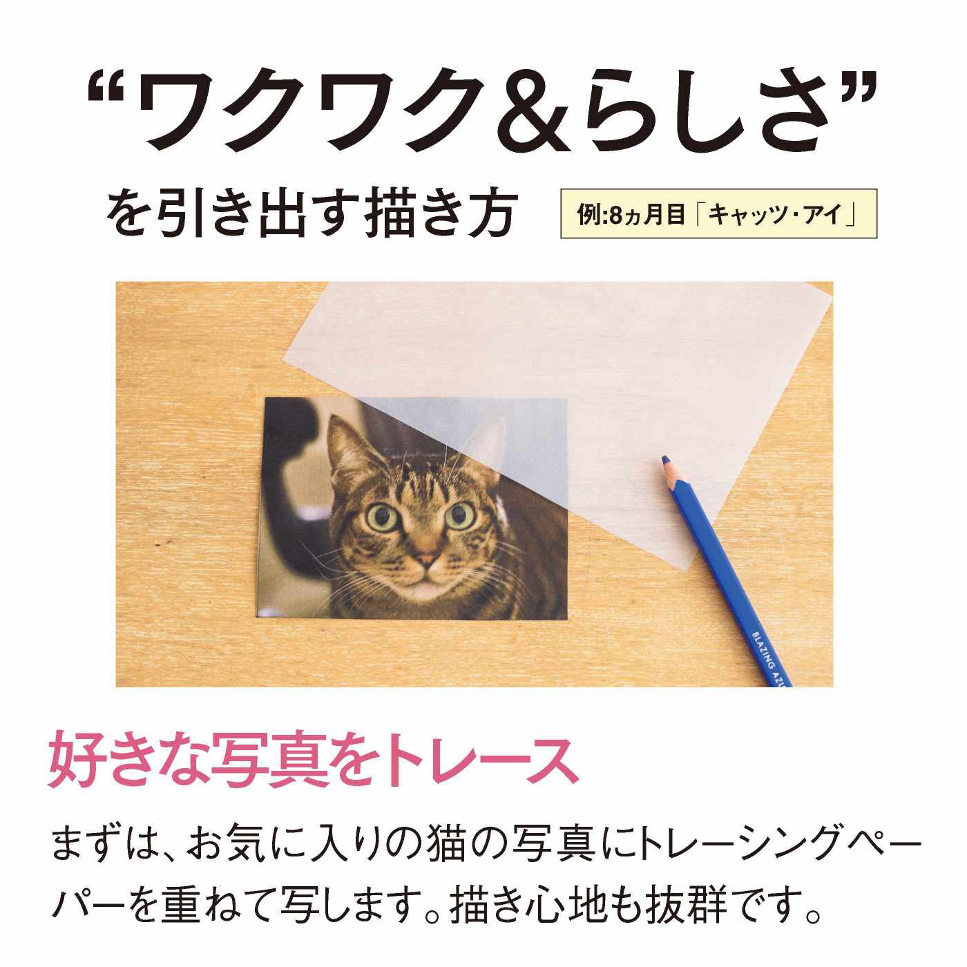 ミニツク|【タイプが選べる】脳がめざめるお絵かきプログラム　手のひらアート編
