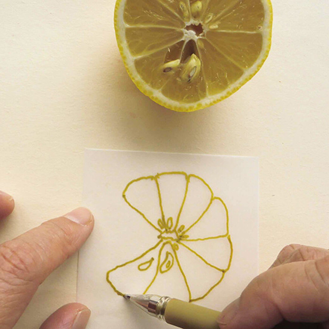 ミニツク|脳がめざめるお絵かきプログラム　紙セット11　「レモンの味と香りのコラージュ」