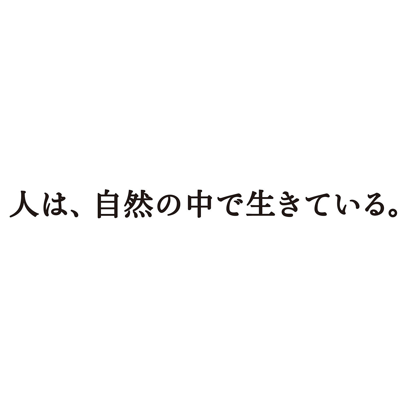 ミニツク|きらりと輝くナナツボシ　妙見菩薩グラスコード|私たちはそろそろ、「自然の中で生きている」ことを思い出さないといけないのではないでしょうか。エアコンを使って自然とのつながりを手放したり、スマホやネットによって、今この時間を生きる、感じることをディスプレイの中の切り取られた記憶で楽しむなど、本来の人間の在り方から離れてしまっているような気がします。技術の発展が問題なのではなく、なんでもコントロールできると錯覚し、自然とのつながりを意識しなくなったことは、とてもさみしいことだと感じています。　仏教では、何より「縁」を大切にします。すべてのことは縁によって起こる、これを「縁起」といい、人間同士の関わりだけでなく、自然の中で生きることもまた縁なのだそうです。私たちの思うままにコントロールしようのない自然の中に生きていると考えると、なんだってあり得る、なんだって起こり得ることに気づかされます。今回のメリープレゼントは、私たちのこれからの生き方のひとつとして、自然との距離を再確認させてくれるコラボレーション企画として取り組みました。