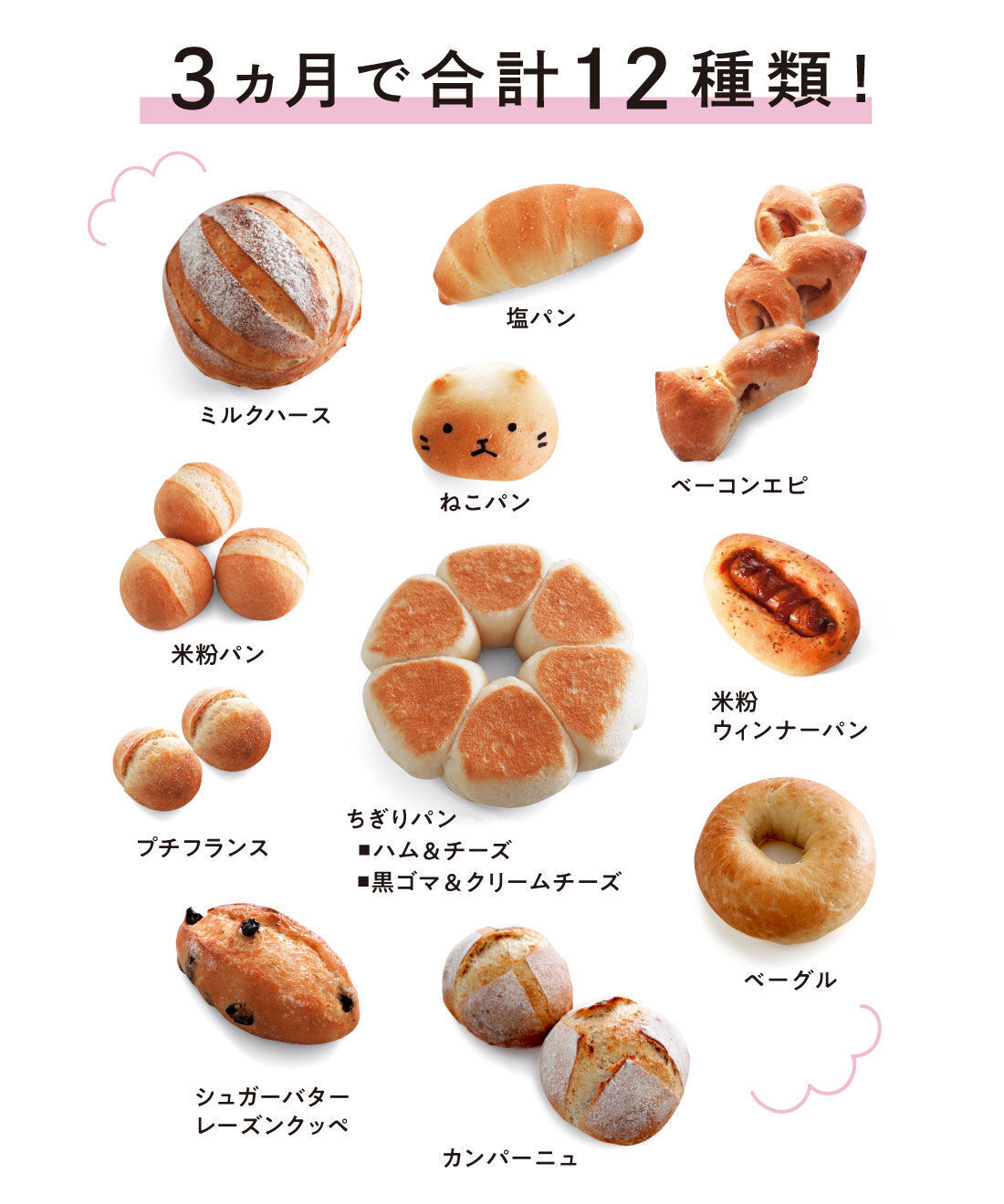 ミニツク|【ずっと10％OFF】焼きたて＆ヘルシー 今年はほかほかパンづくりと蒸し活を楽しむ6ヵ月キャンペーン［6回予約プログラム］