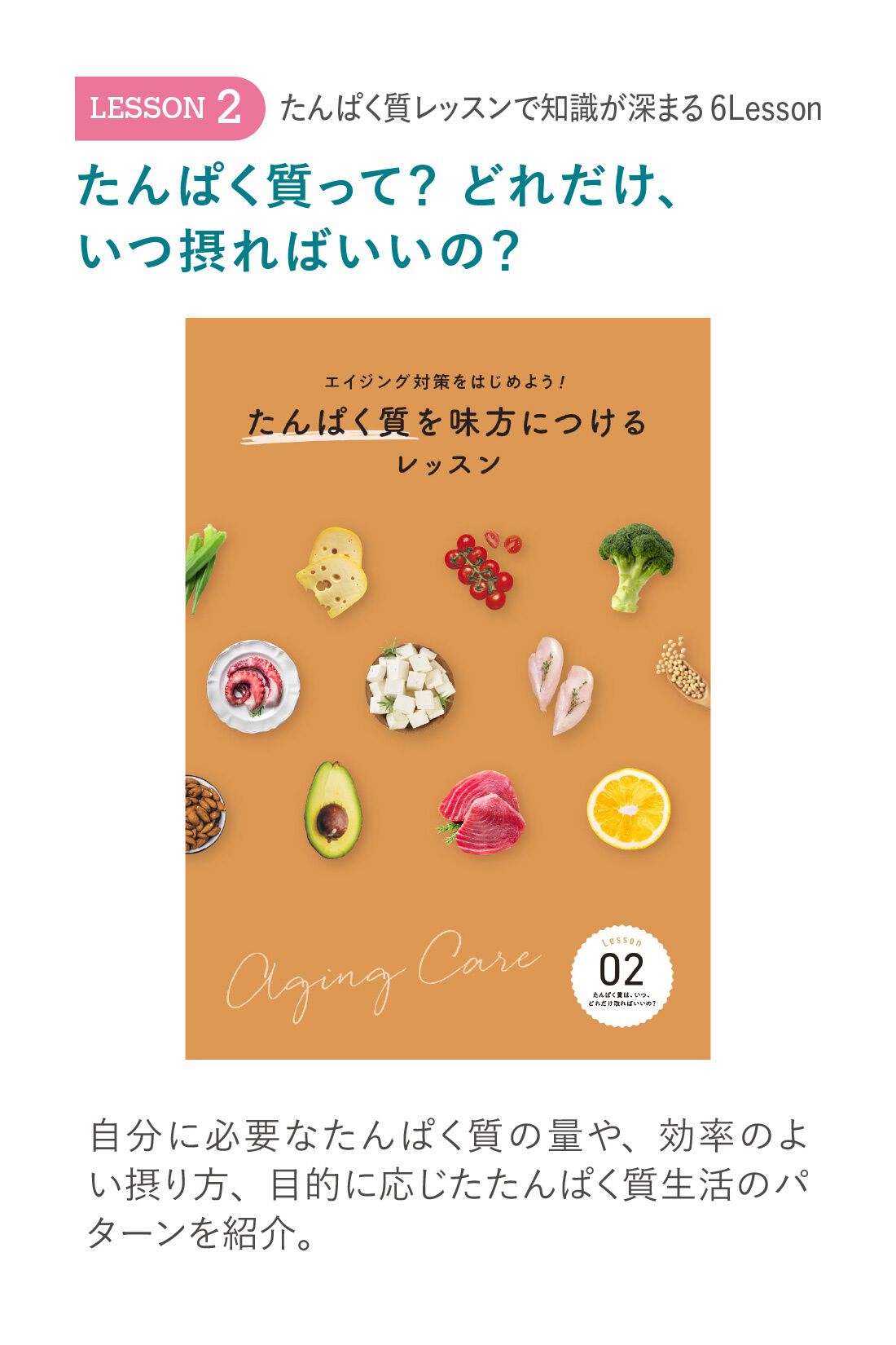 ミニツク|エイジング対策をはじめよう！　たんぱく質を味方につけるレッスンプログラム ［6回予約プログラム］