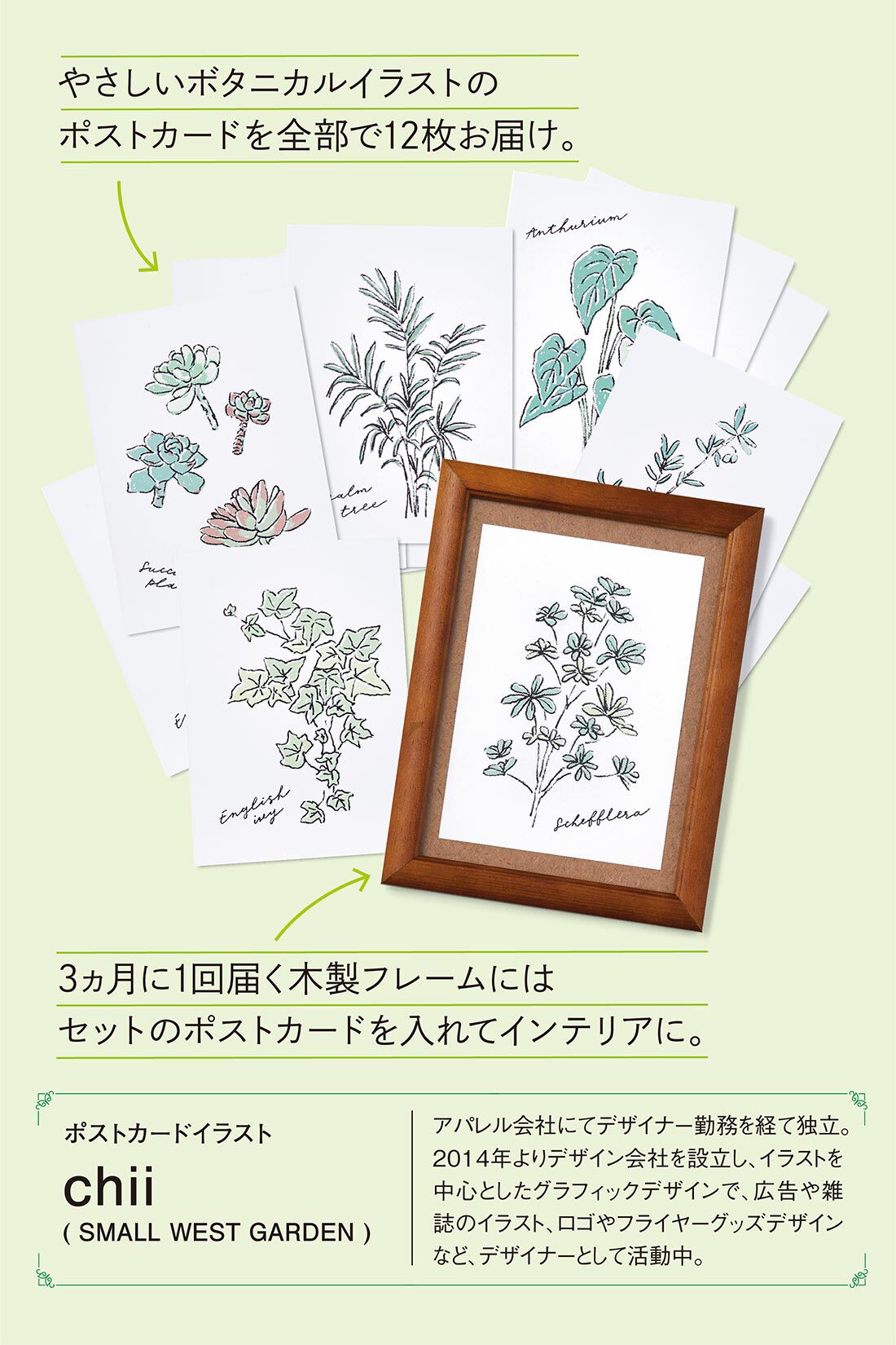 ミニツク|【総額9,240円OFF】カジュアルプランツのきほん 植物とくらすプログラム［12回予約プログラム］