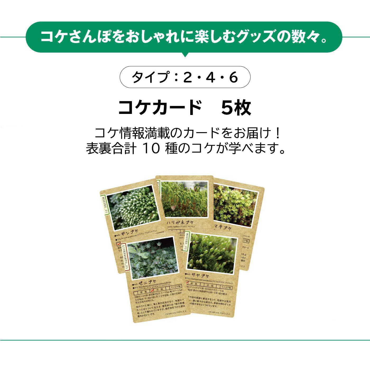 ミニツク|【タイプが選べる】歩いて撮って異世界探訪　コケさんぽプログラム
